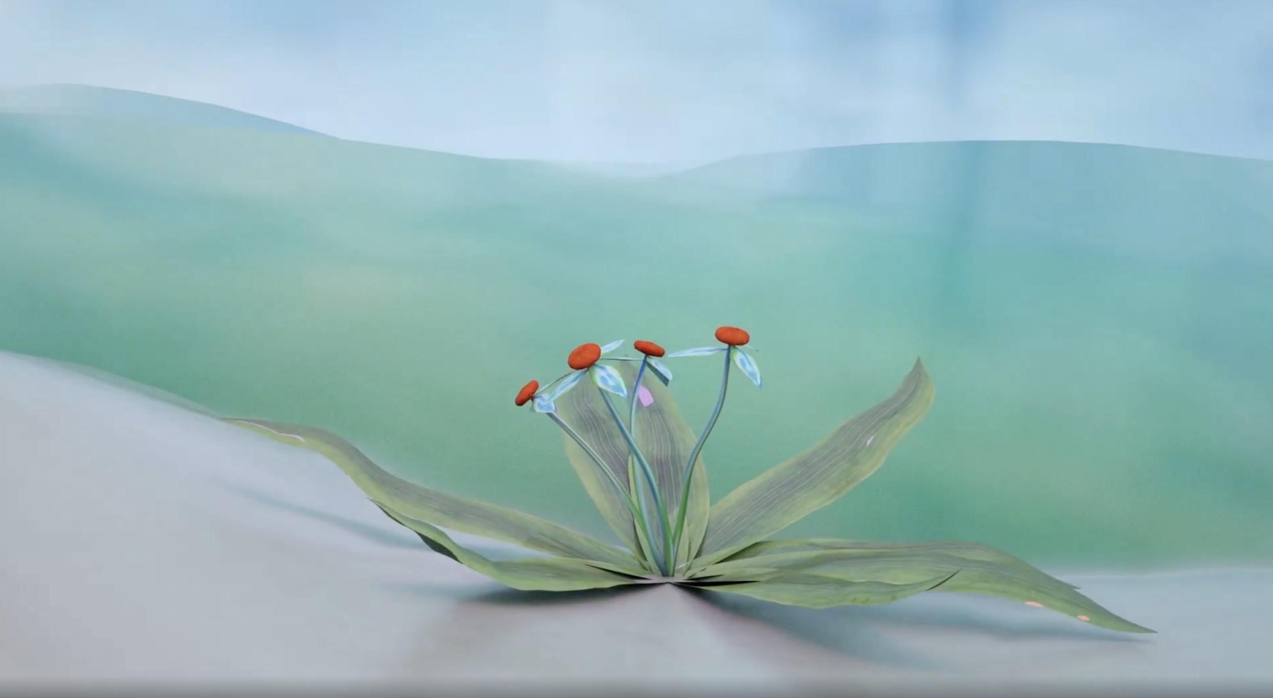Dandelion Flower, 2023