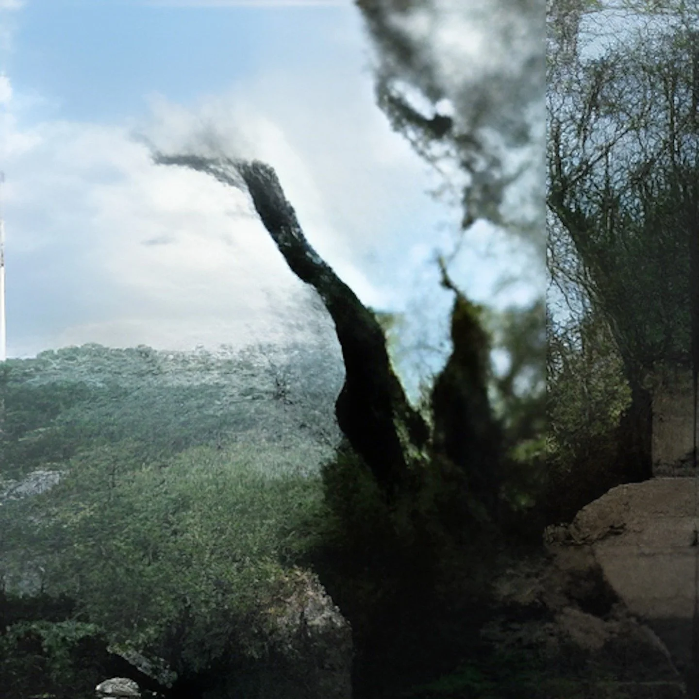 Michele Rinaldi is a Rome-based artist and researcher working at the intersection of new media, digital arts, and environmental sustainability. His practice centers on multimedia installations powered by artificial intelligence, exploring invisible e