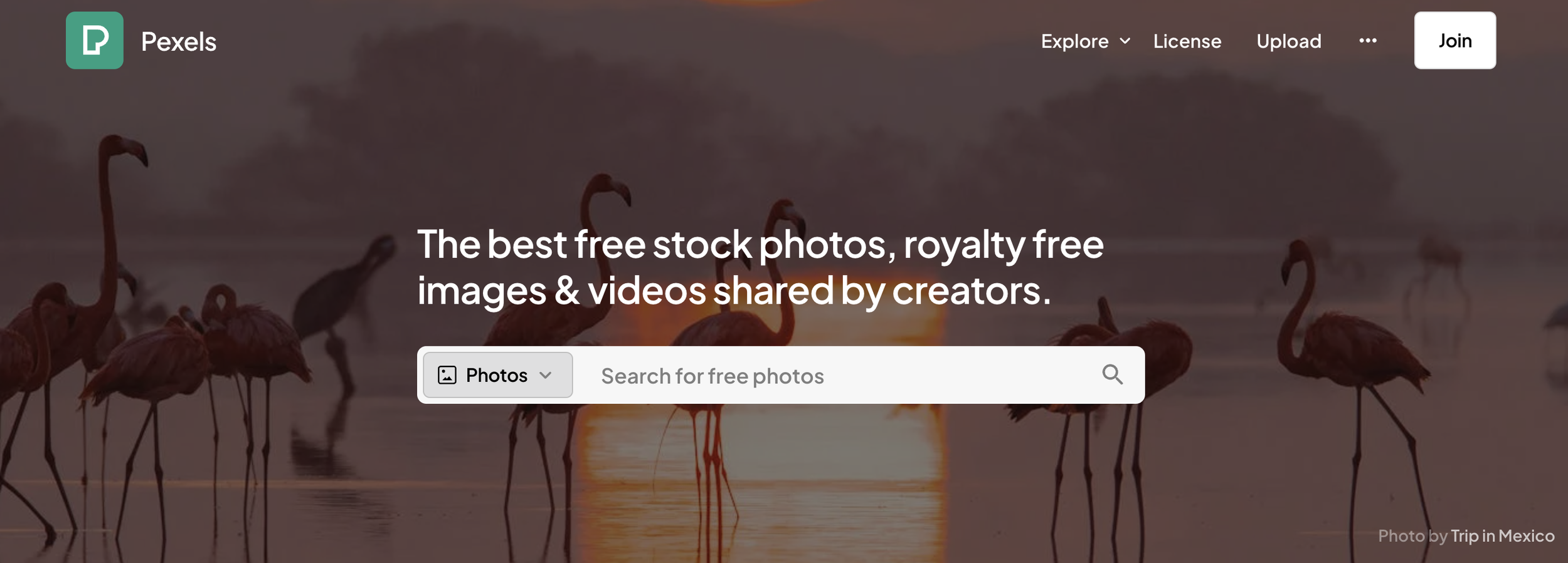 How to Make a Digital Collage (Free & Online) — DIGITAL ARTS BLOG