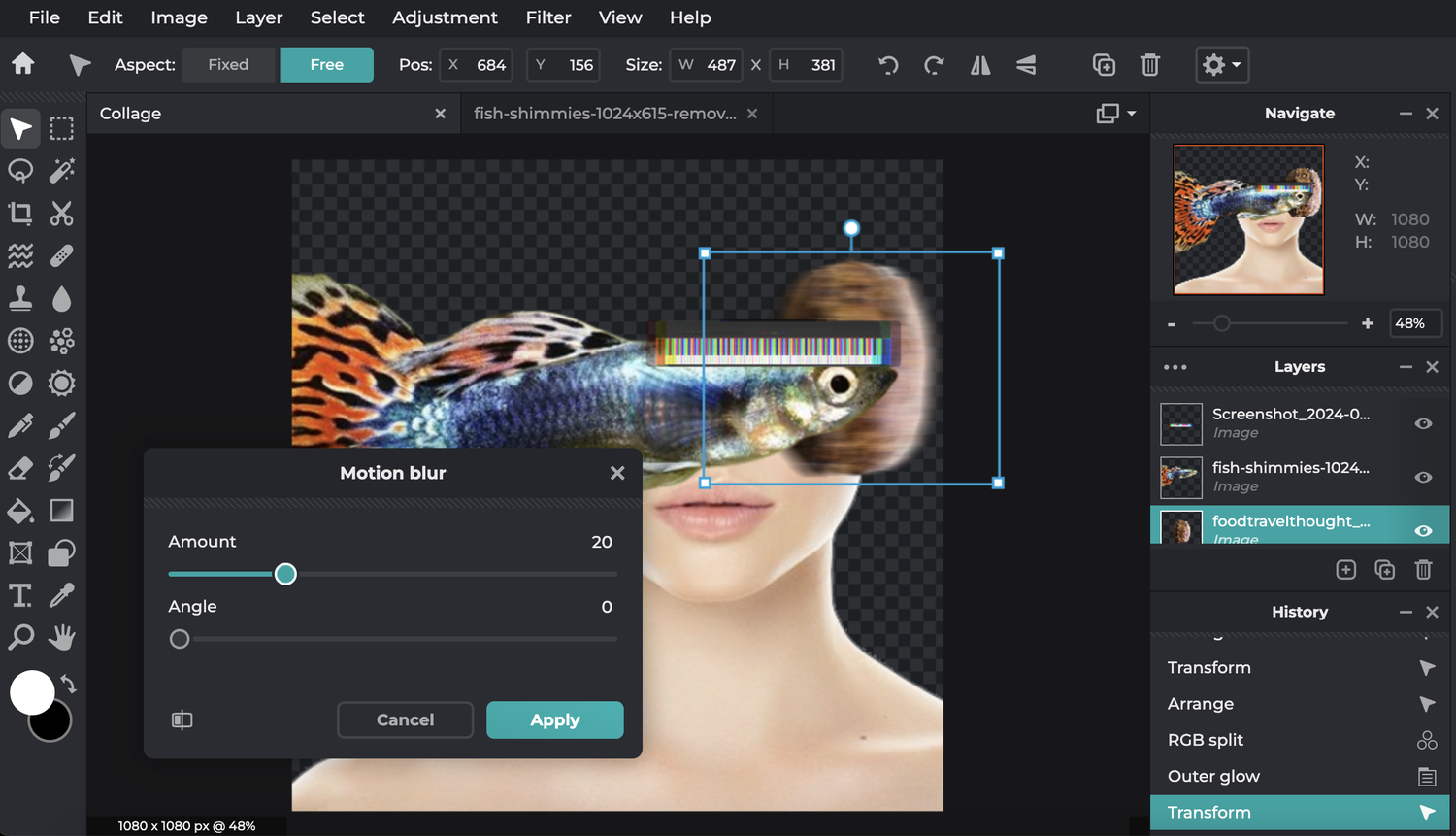 How to Make a Digital Collage (Free & Online) — DIGITAL ARTS BLOG