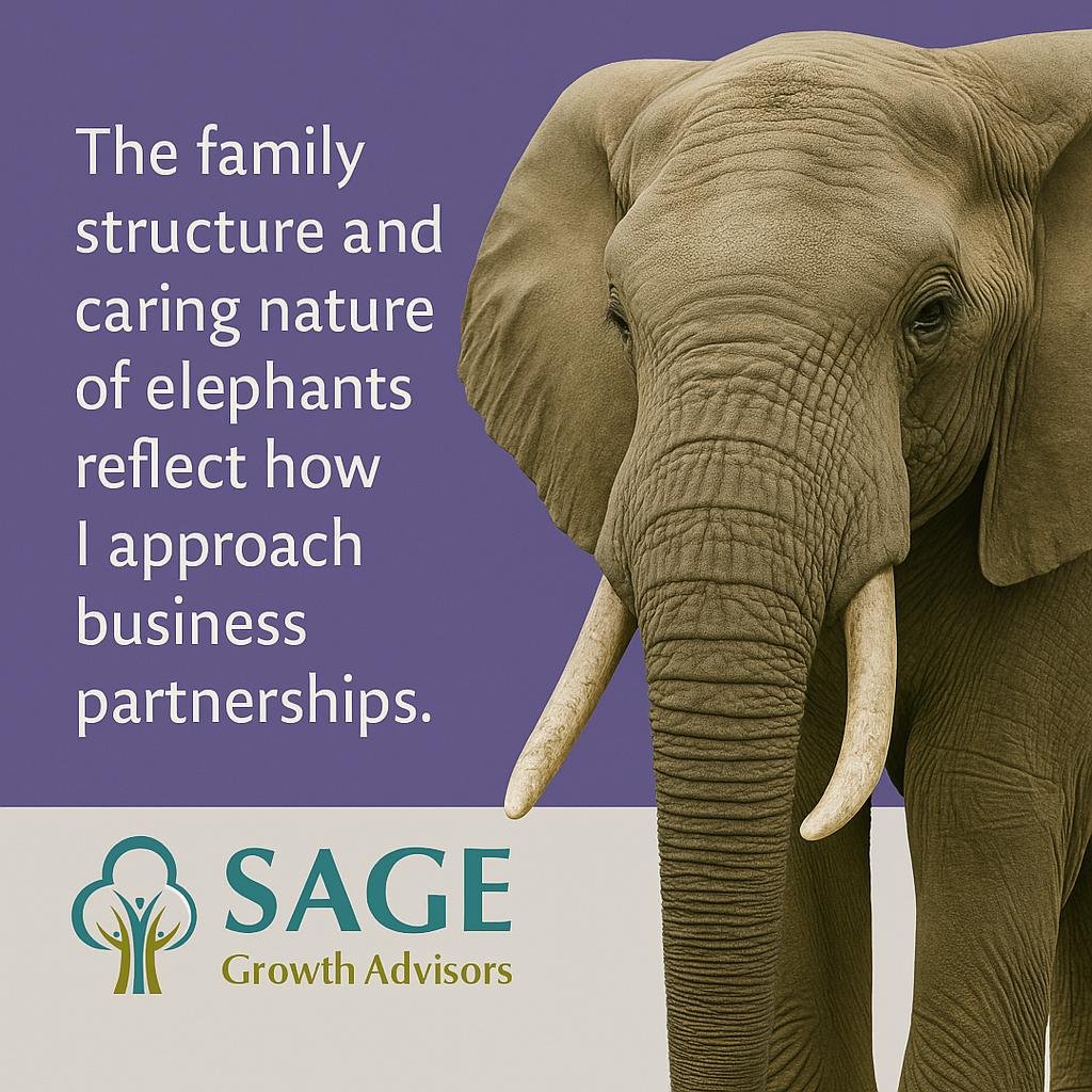 🐘 Why I Love Elephants &mdash; and What They&rsquo;ve Taught Me About Business 💼💚

Elephants are powerful, intuitive, and fiercely protective of their herd. They lead with wisdom, show up for each other, and never forget who mattered along the way
