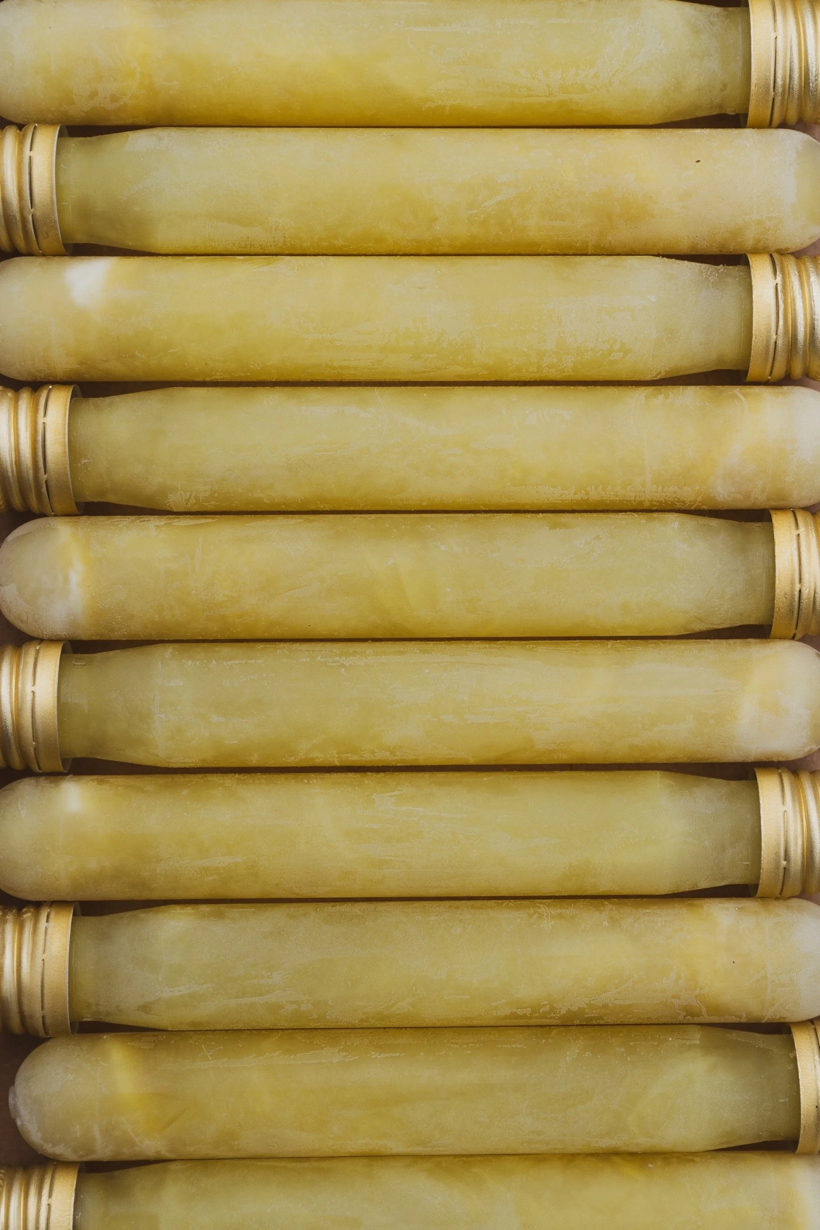 2023-SAJOER-BLIJDORP-LAURE-89.jpg