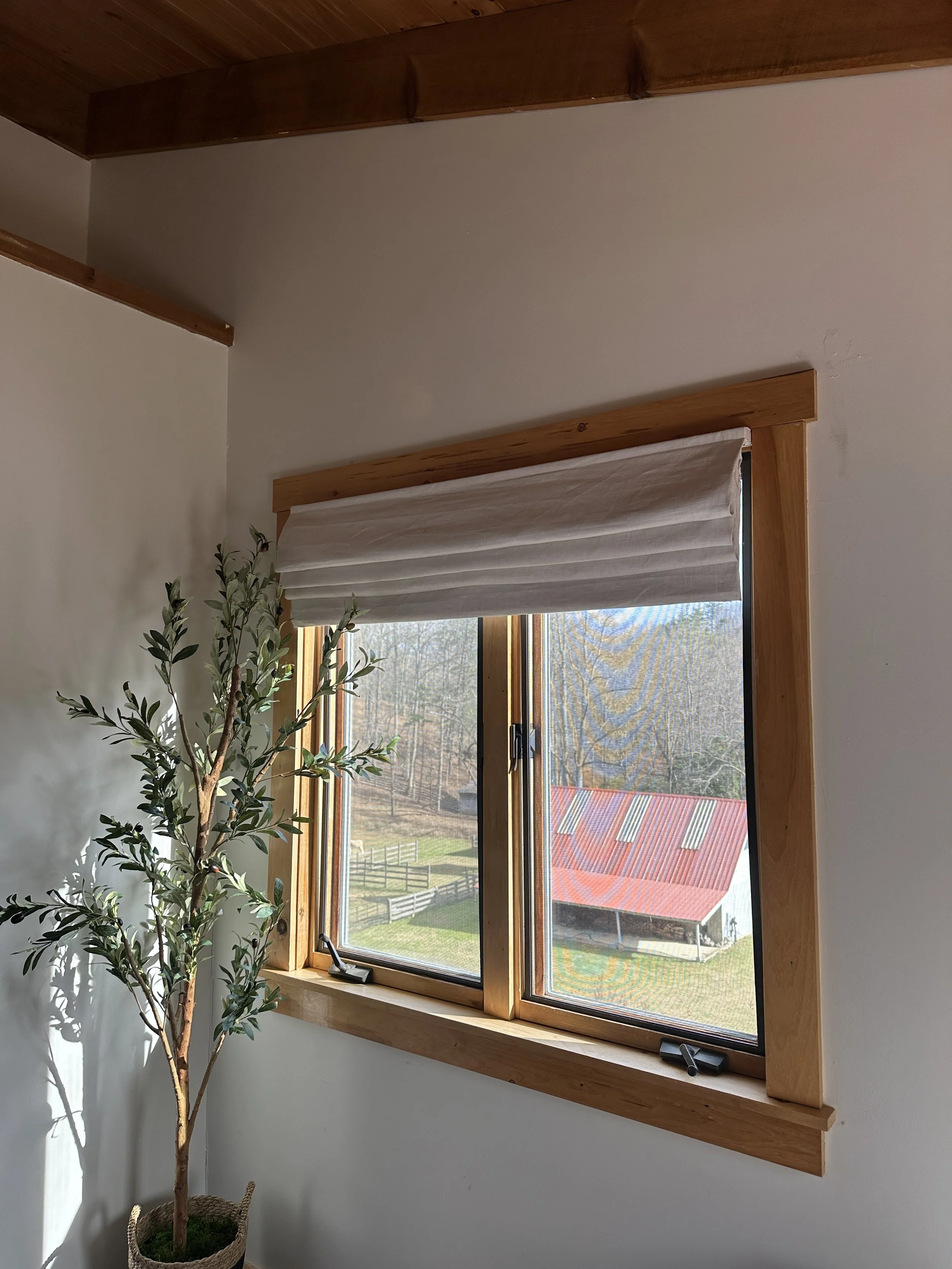 View of a window with a white roman shade, wooden trim, and a potted artificial olive tree nearby in a room with white walls and a wooden ceiling.