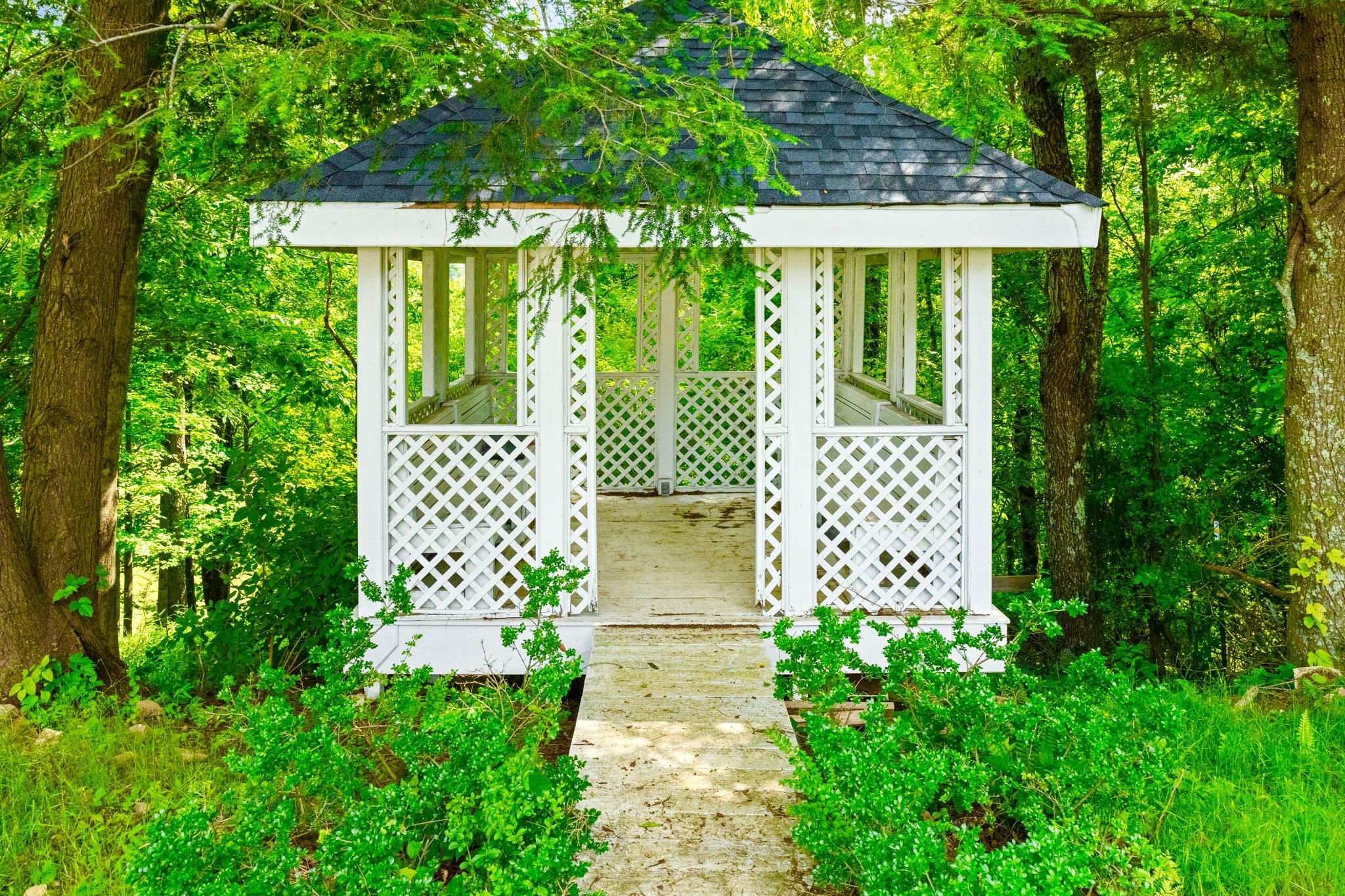 468-web-or-mls-DSC03585.jpg