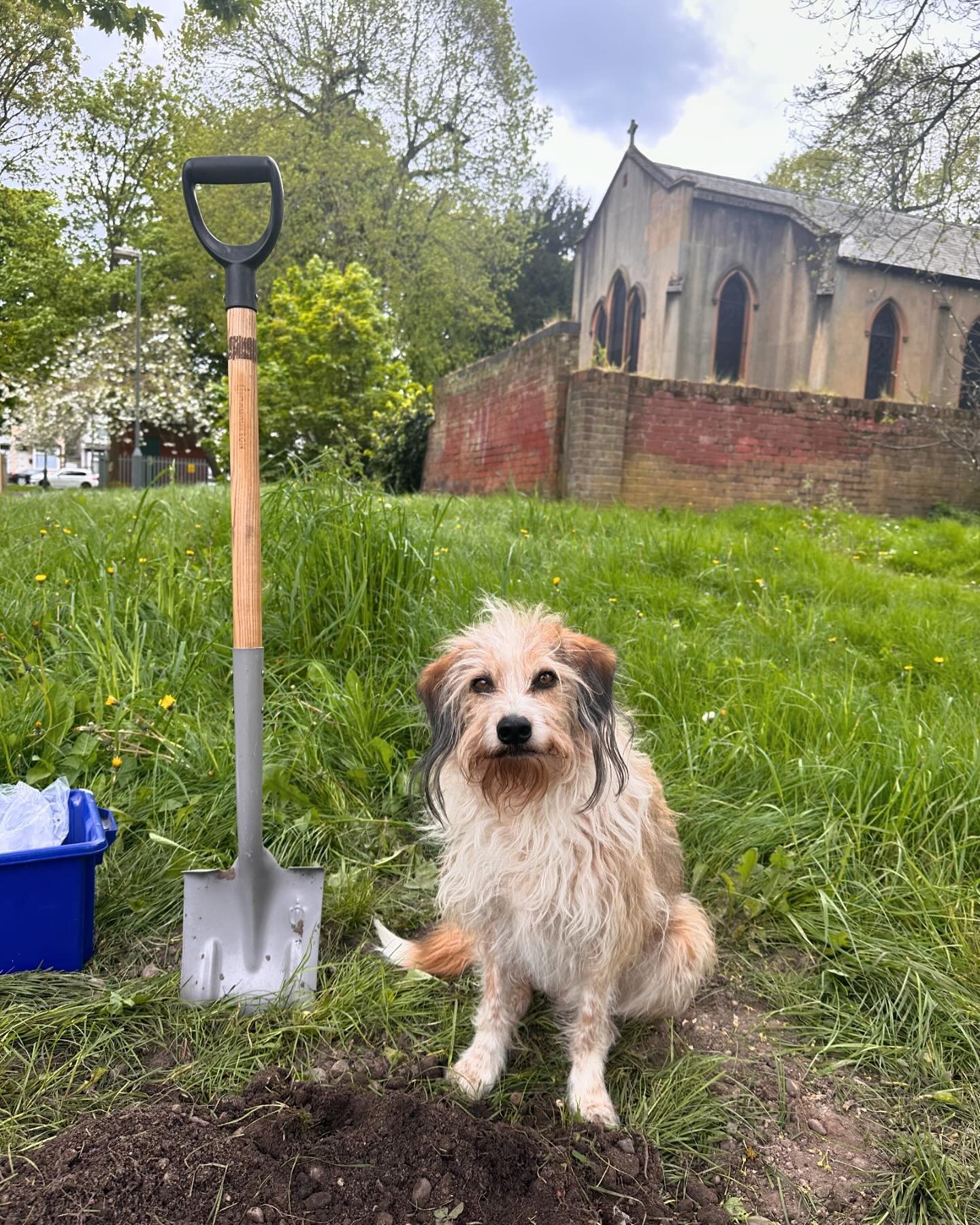 Ponti got a cameo role in Maggie the chicken&rsquo;s new BBC series. He had to dig deep to get into character&hellip;. 😏

#bbcseries #filming #filmcrewuk #filmanimals #director #filmdirector #producer #tvseries #chicken #dog #filmdog