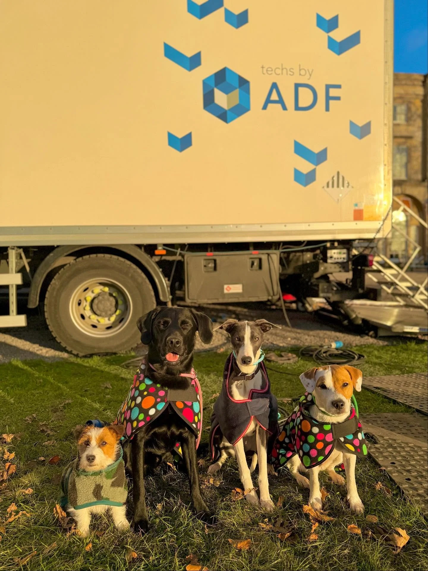 Freeeeezing day today with dogs in the Cotswolds and Yolo in London (and poor Jeanna in both! 🤣)

#filming🎬 #onset #tvseries #tvad #trainedcat #traineddog #filmdog @facilitiesby_adf