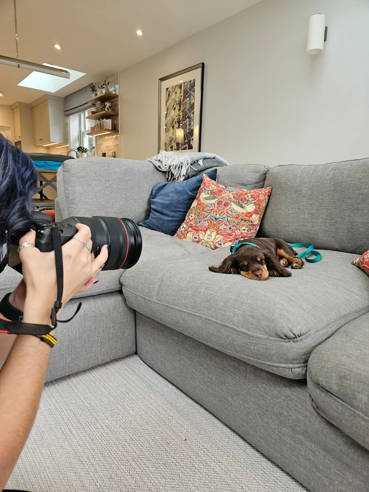 First day on set for our gorgeous little Rizz! She has been impeccably behaved and is going to be an amazing set dog! Well done to Kati as well for raising such a perfect puppy! 

#workingcocker #wocker #workingcockerspaniels #onset🎥🎬 #puppylove