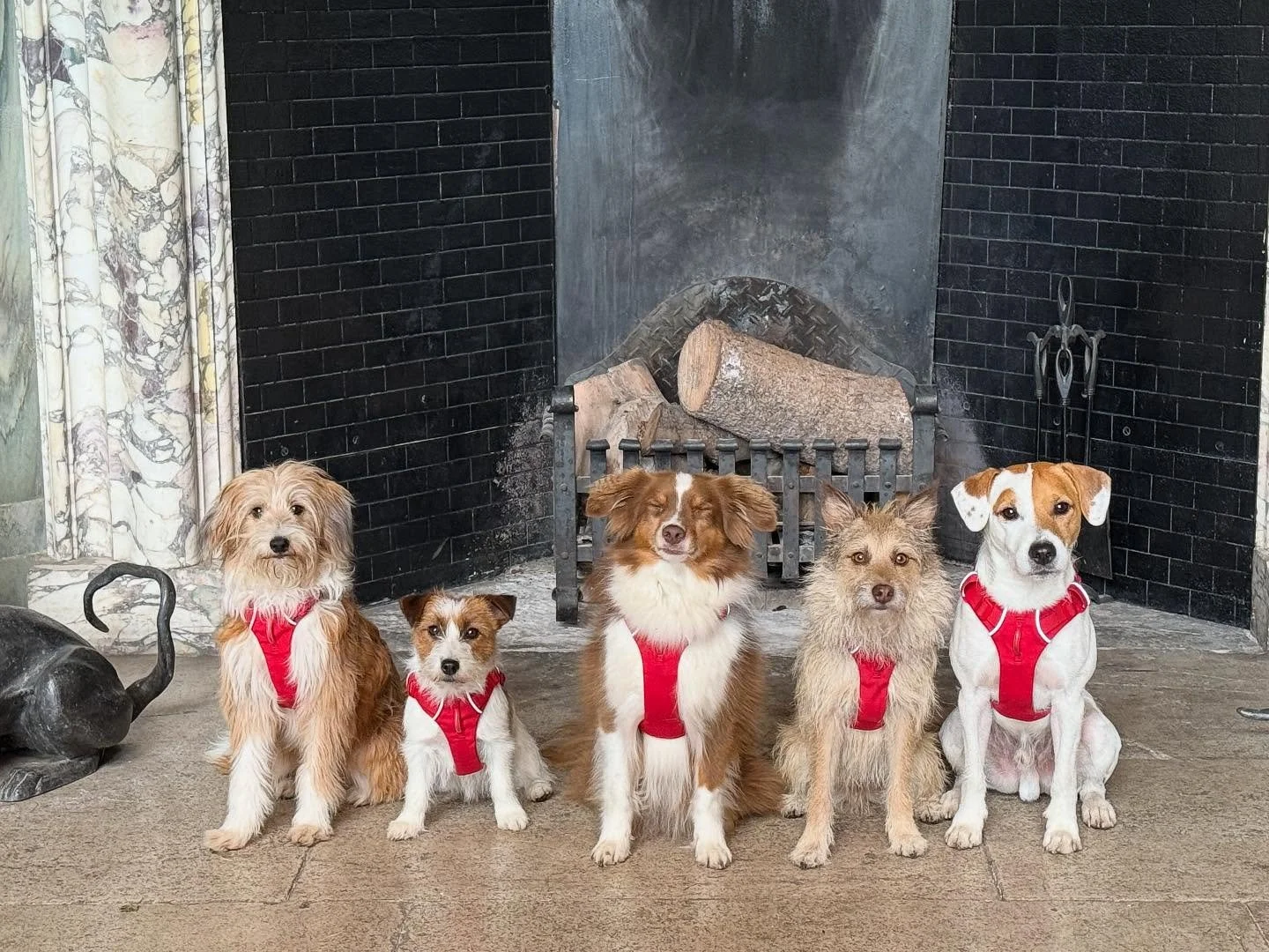 Today&rsquo;s on set crew, filming a tv commercial at @addingtonpalace probably our cheekiest bunch of scruffers!