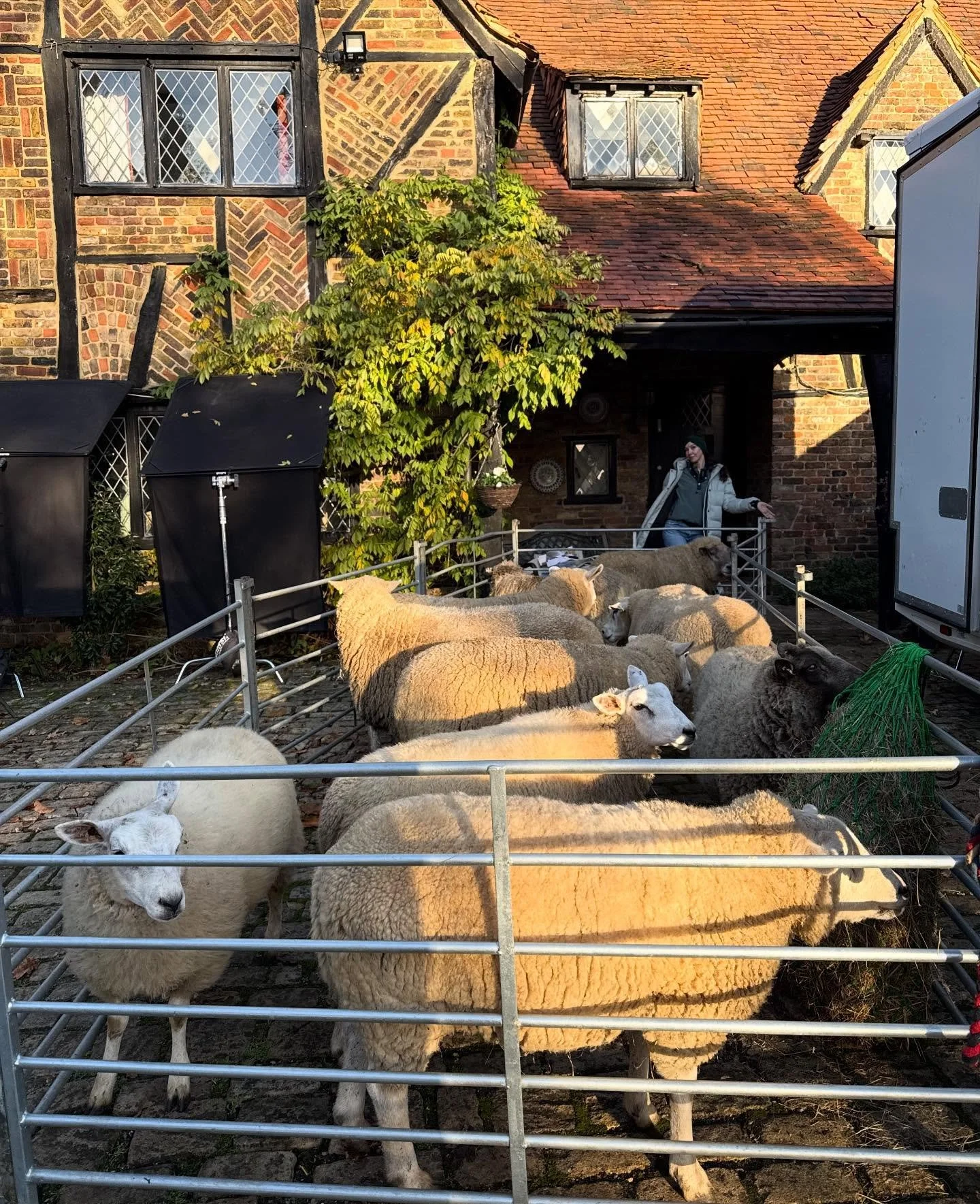 &ldquo;Hi Laura, please can you supply us with ten sheep in a living room?&rdquo;

&lsquo;Hold my beer!&rsquo;

#sheep #sheepofinstagram #sheepoftheday #tvcommercial #tvc #advertisingagency #advertising #productioncompany #filming