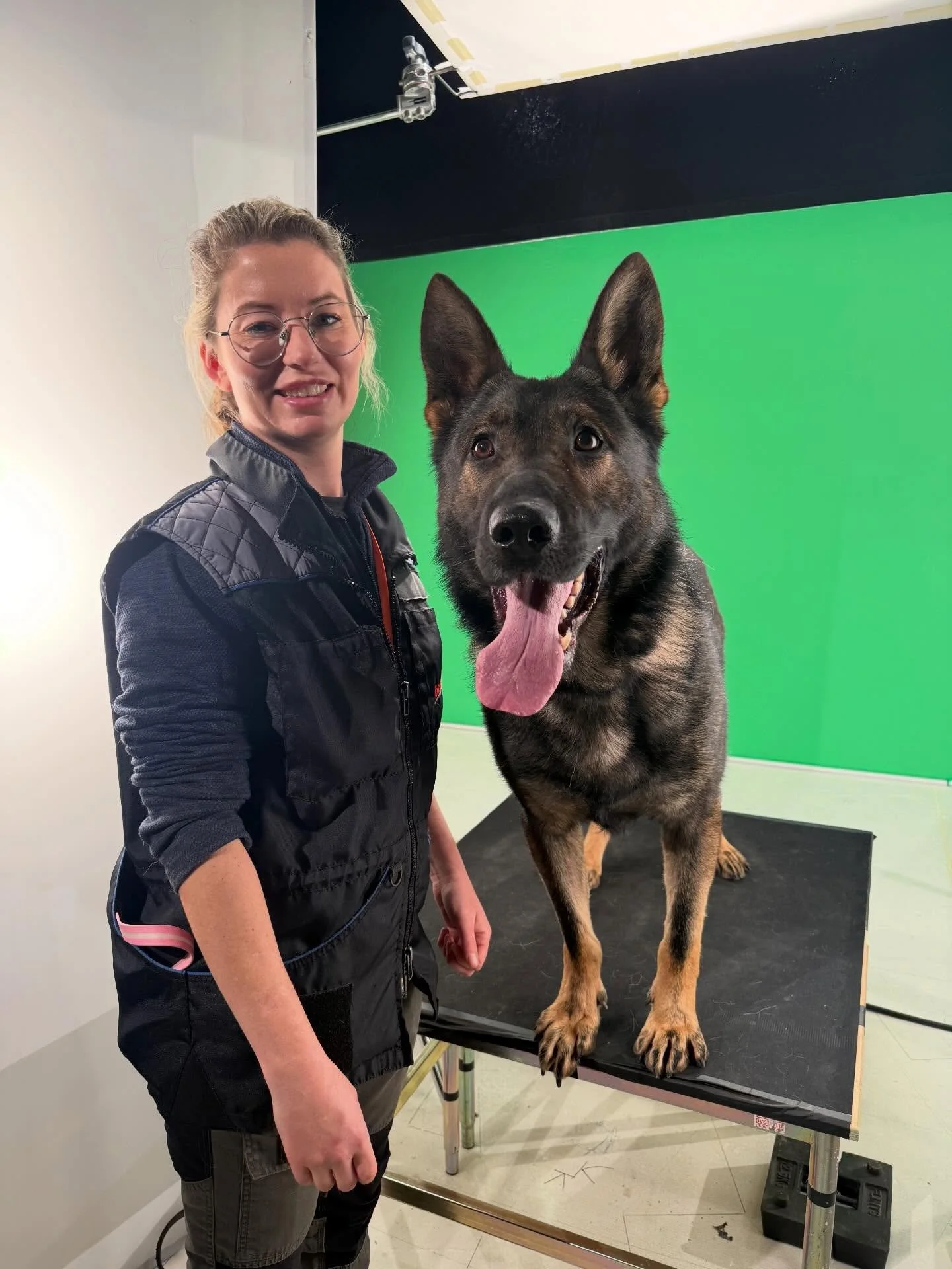 Last job of the year and both Justin (the beautiful German shepherd) and Fraggle (our sweet little cavapoo) did a great job. Here&rsquo;s to a@much needed break!
#cavapoo #germanshepherd #stillshoot