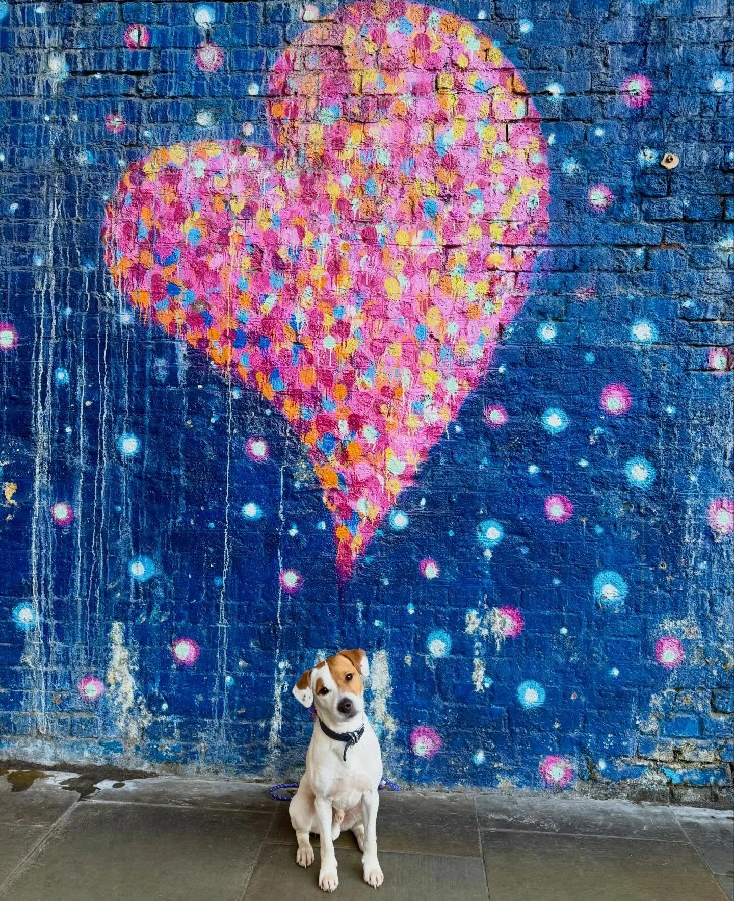 This boy has been absolutely brilliant this week, I could mor be more proud. He is such a hardworking, happy, friendly little fella.