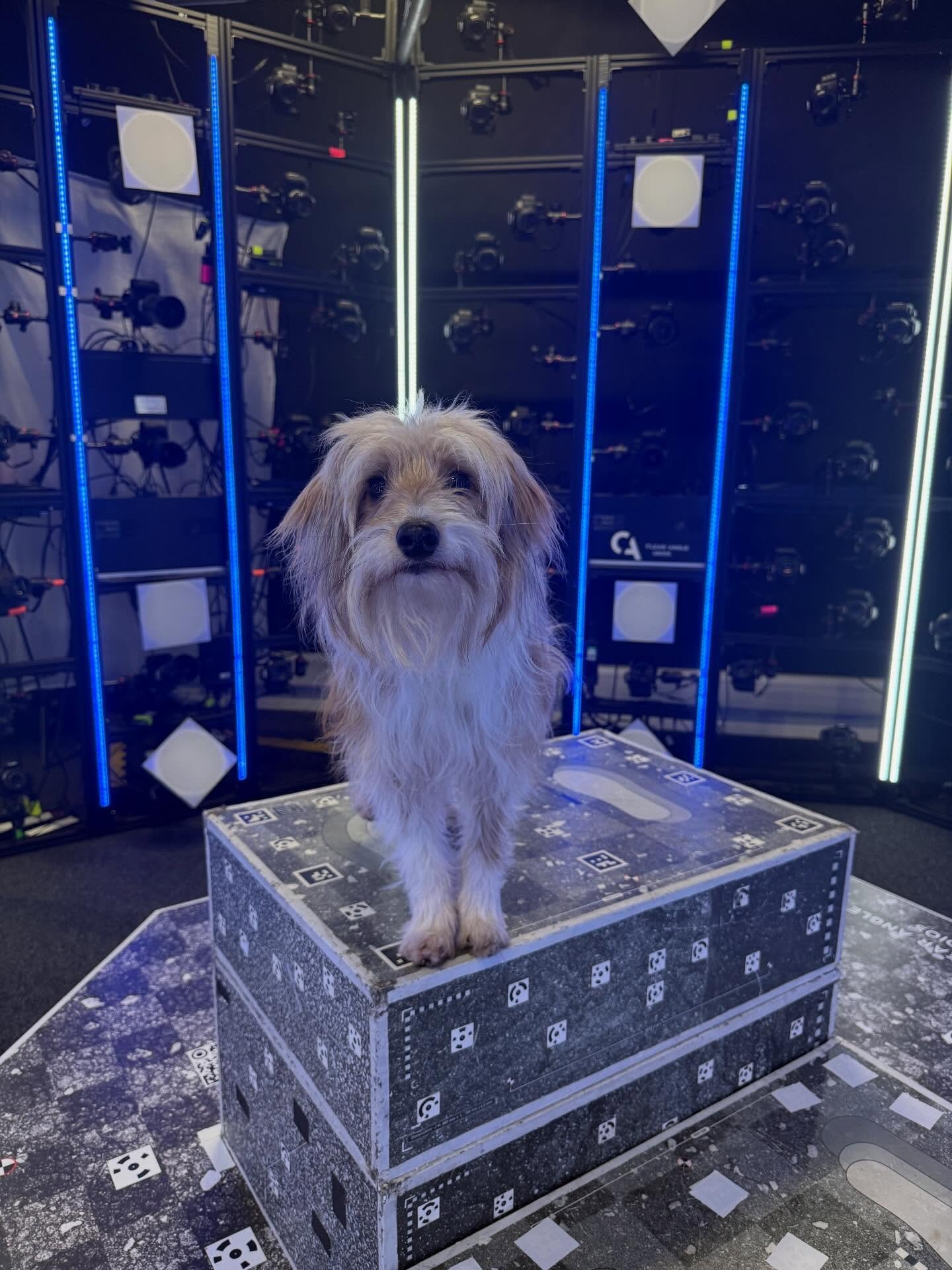 Mopsy on set today with the 360&deg; cameras  @clearanglestudios at @pinewoodstudios @wearechief 

Her first time seeing anything like this and she was very brave! Proud mumma here! Thank you Kelly for your help! @vet.cetera #onset #360camera #filmin