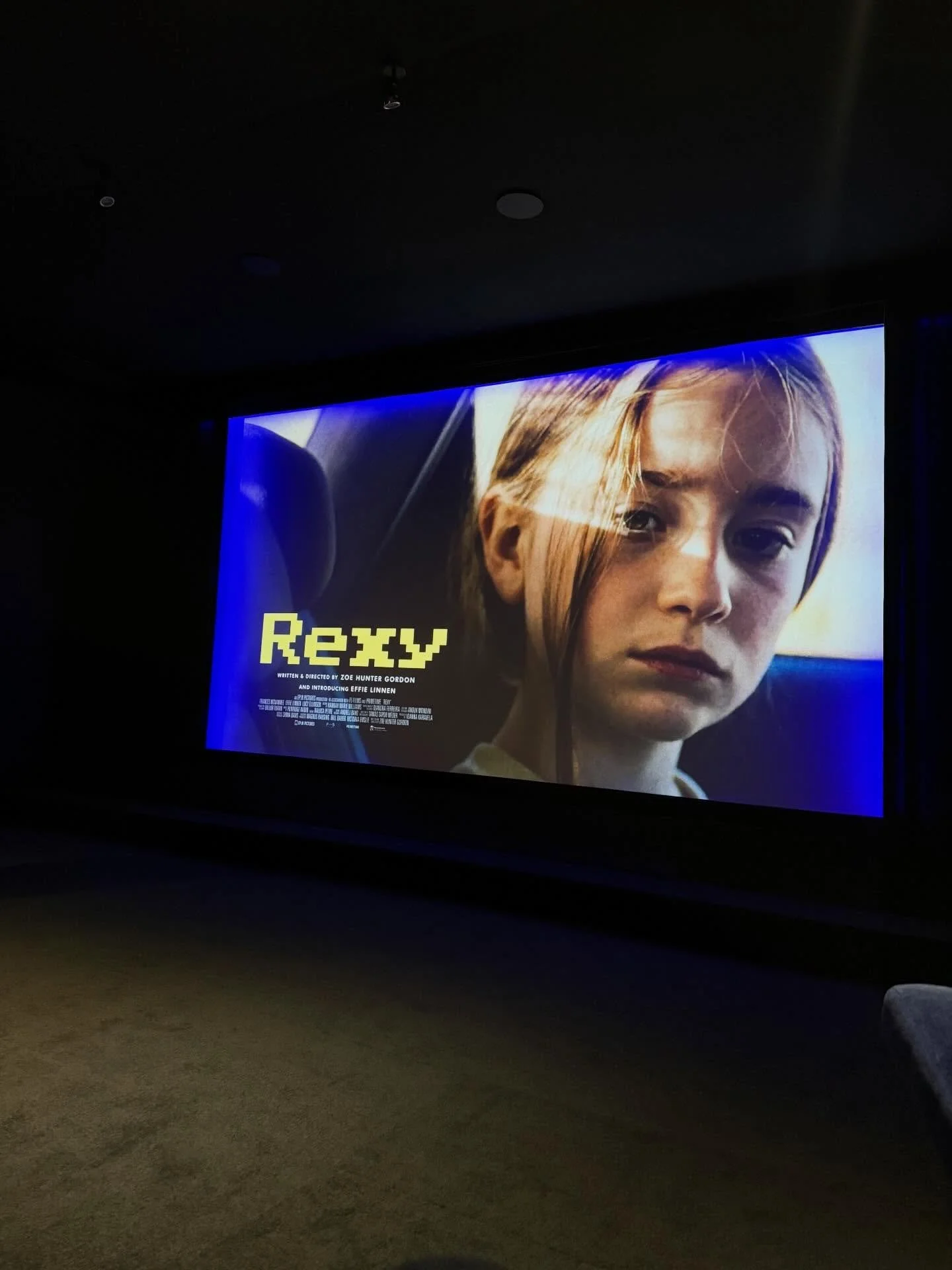 We went to see Rexy, a short film directed by the very talented @zoehuntergordon  It was bittersweet seeing Cheese&rsquo;s first ever performance on screen and one of the last performances for our darling Kheva, who we lost last year. Both dogs looke