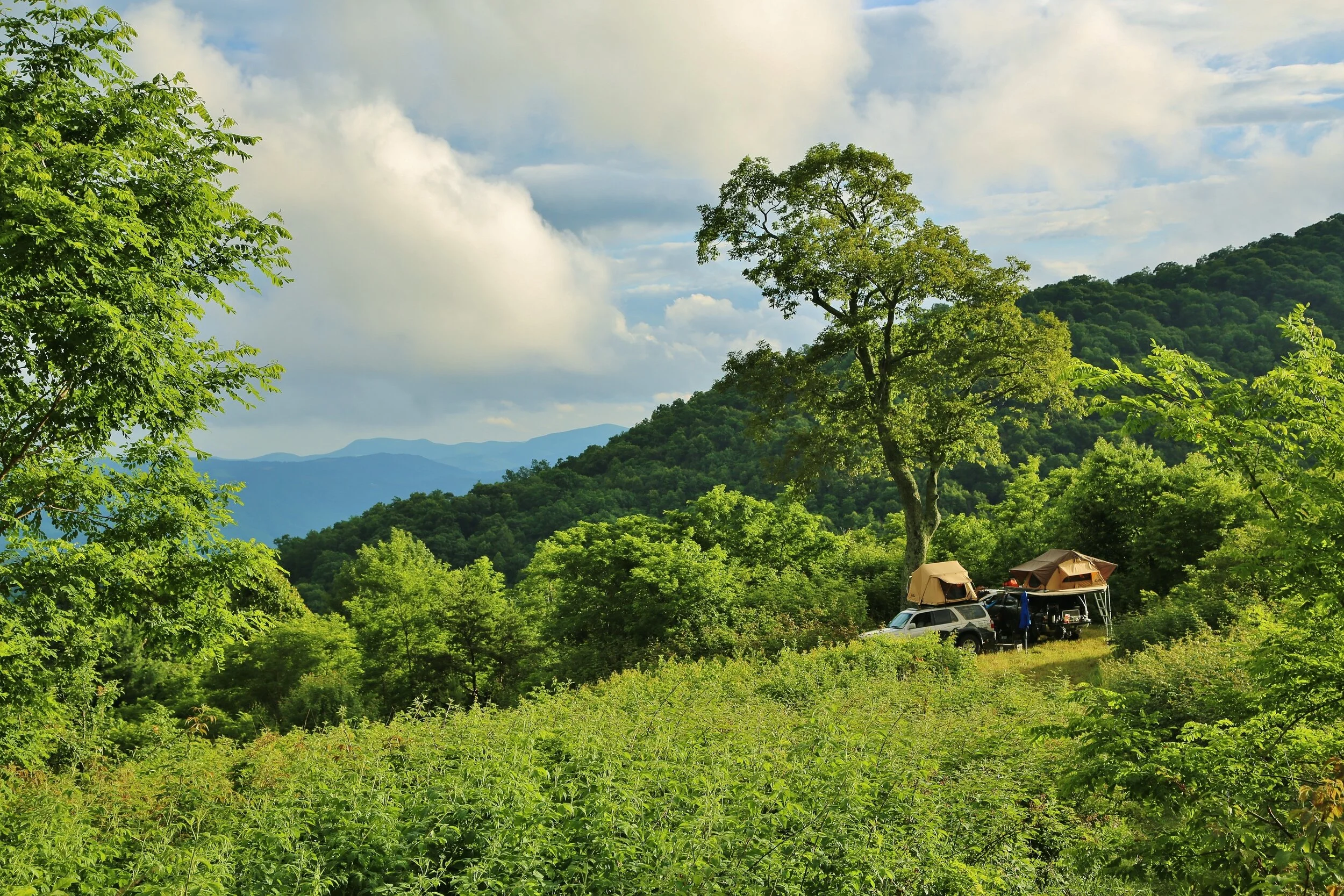trip report: gettin' somewhere - #tennessee  #northcarolina  #gettindeeper  #appalachia 