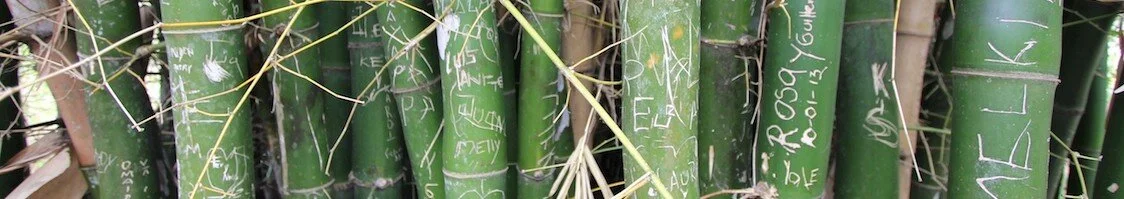 sardinetaco: new jersey to ushuaia.  @expoportal  #sardinetaco  #panamericanhighway