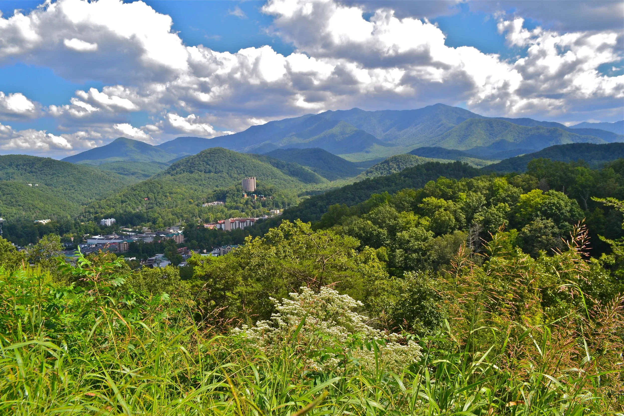the real appalachia.  @tricities_com  #theappalachianproject  #appalachianheritage