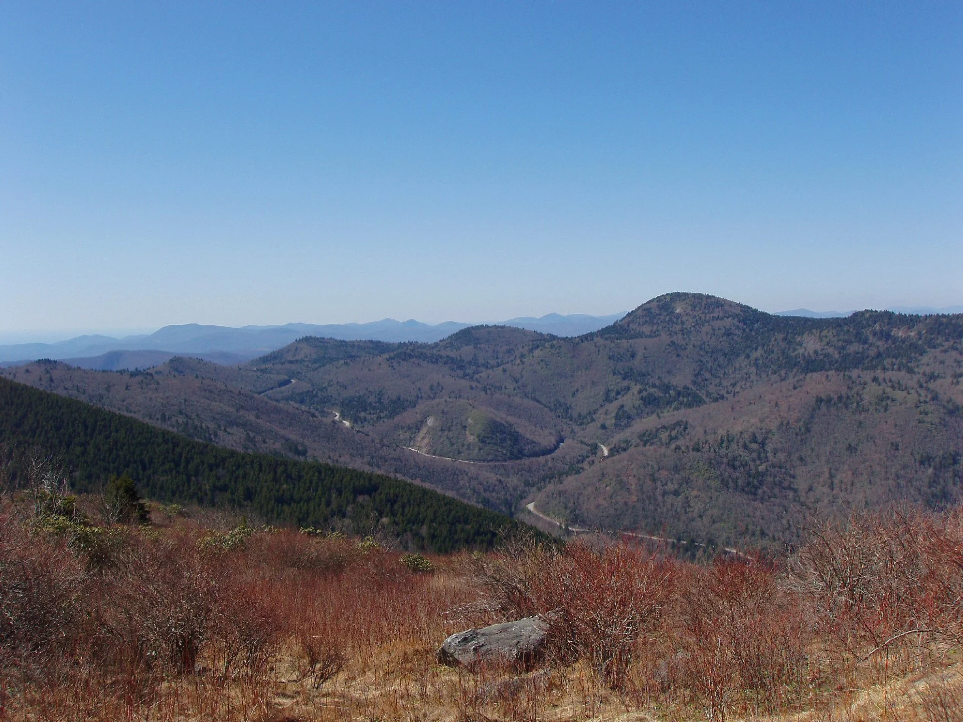 greening of the parkway. @asheville #family #adventure