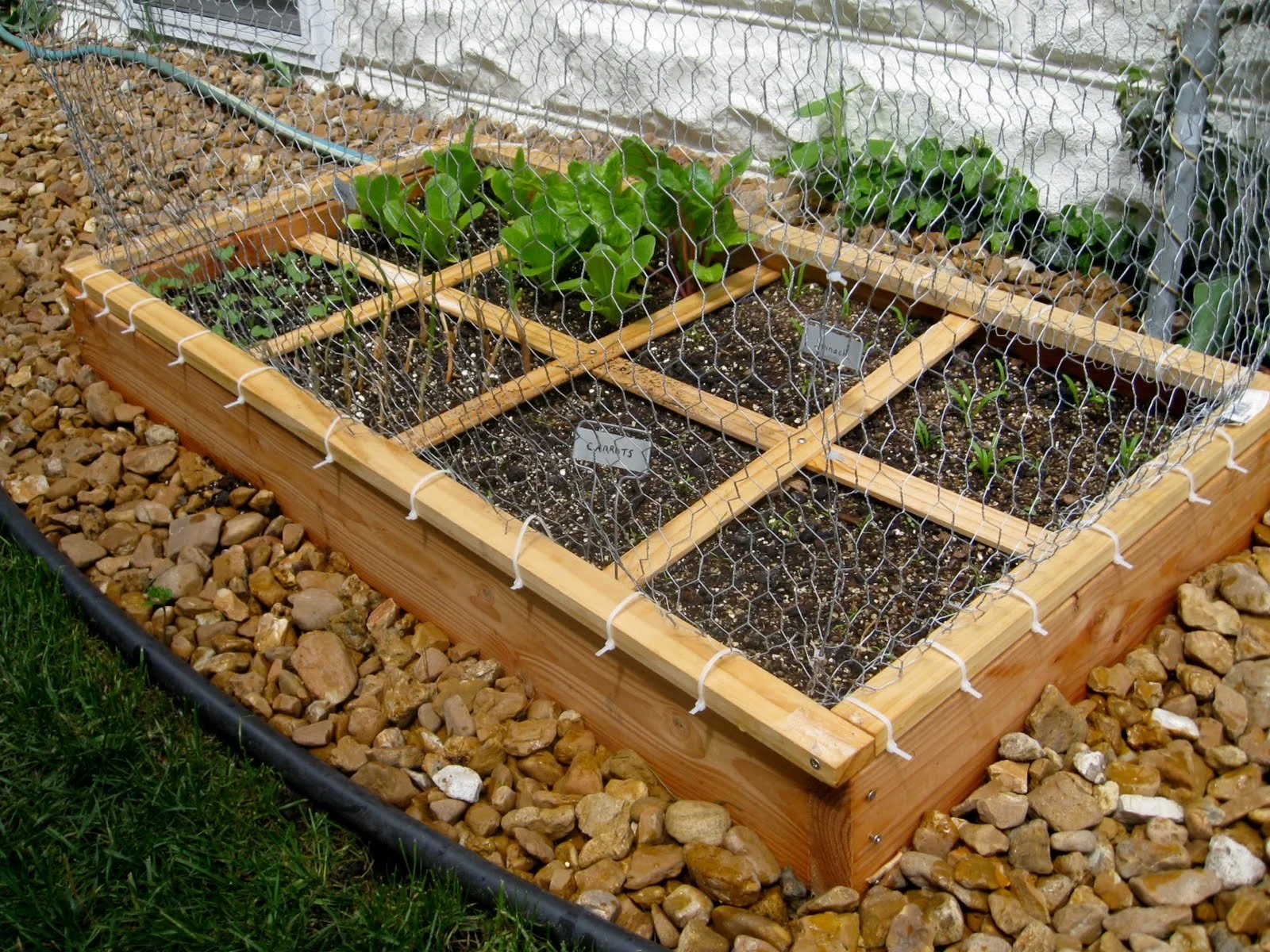 small space gardening. @MotherNatureNet #squarefootgardening #intensivegardening