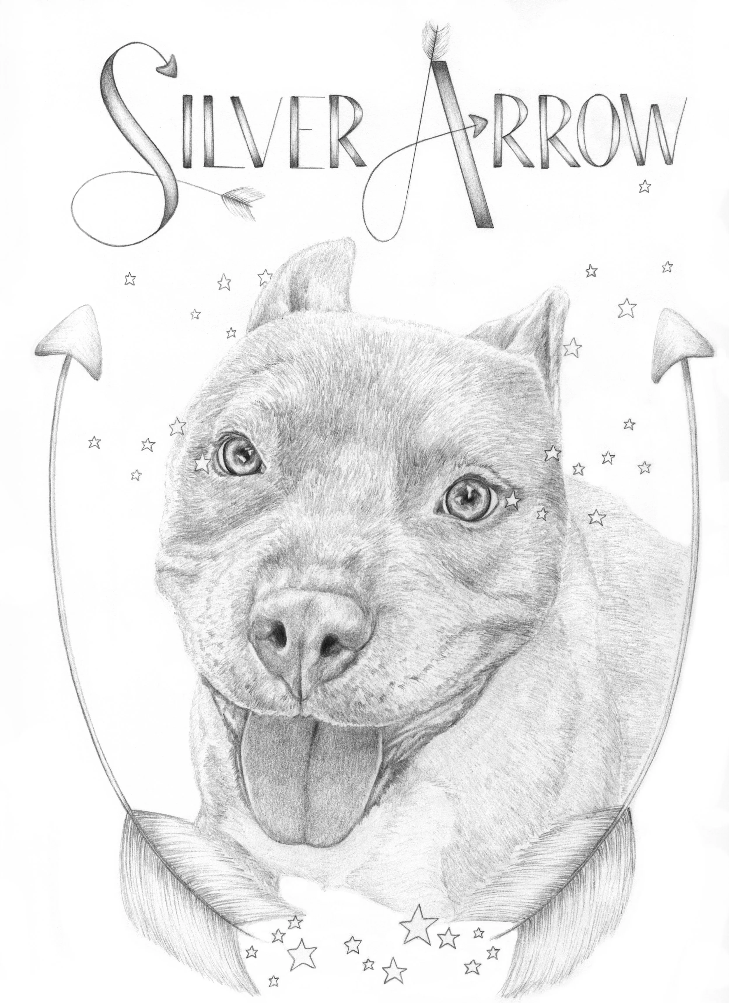 2016 silver arrow.jpg