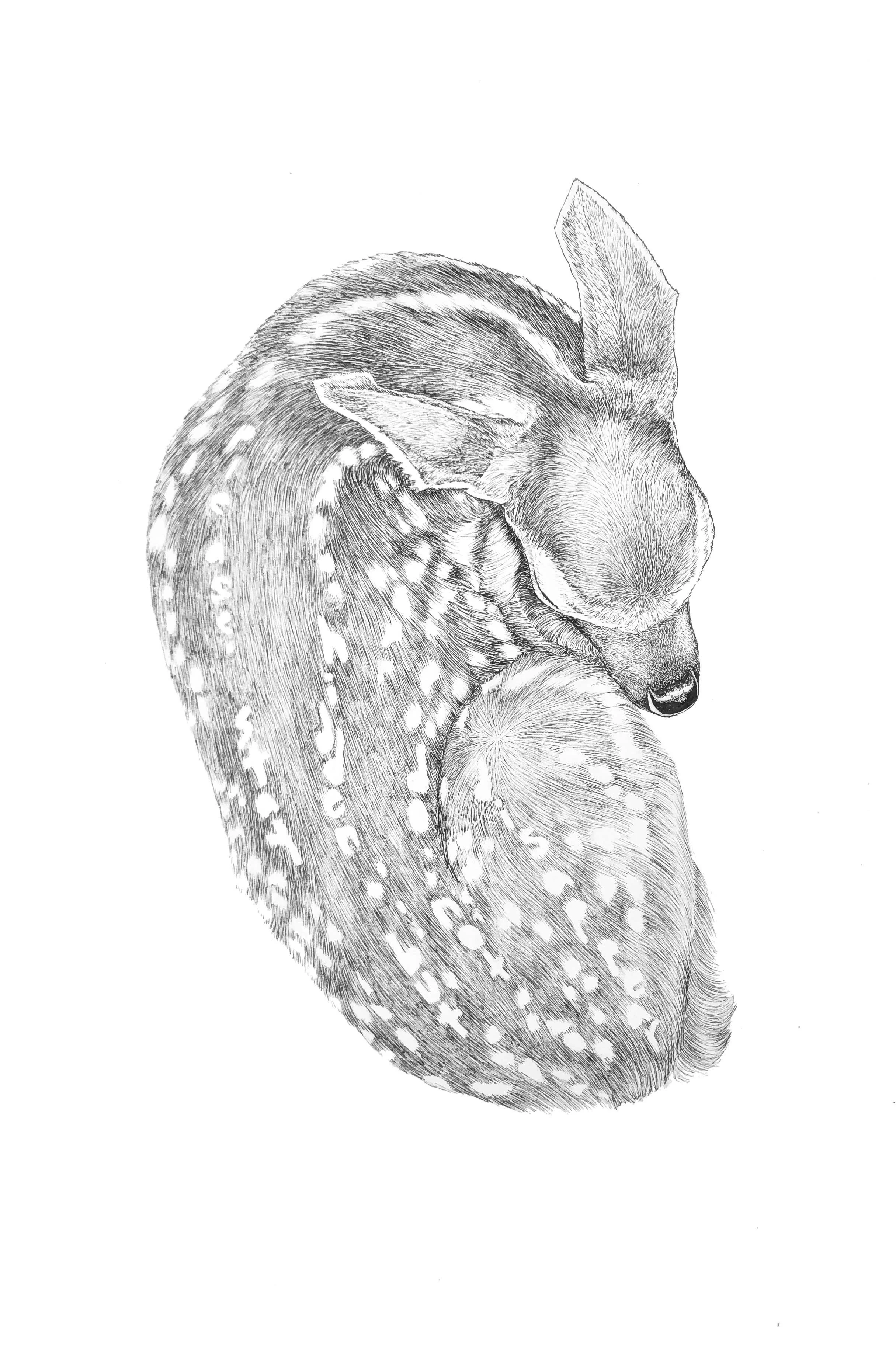 2018 remain hidden.jpg