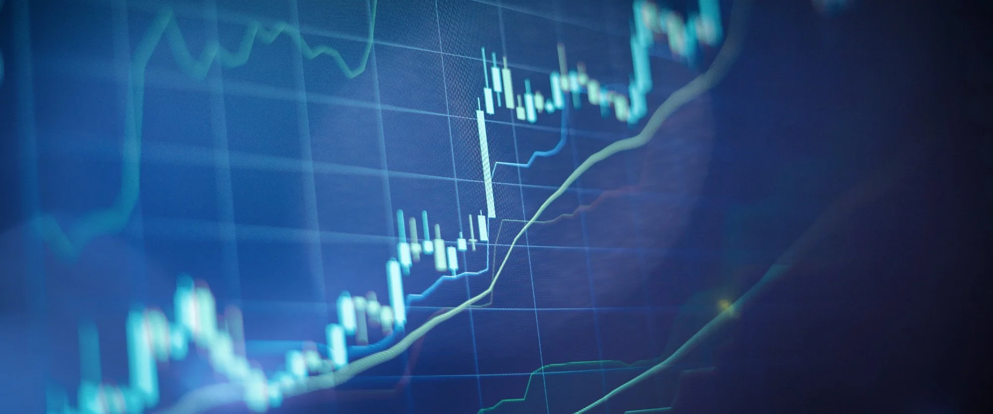 Financial Data_Web.jpg