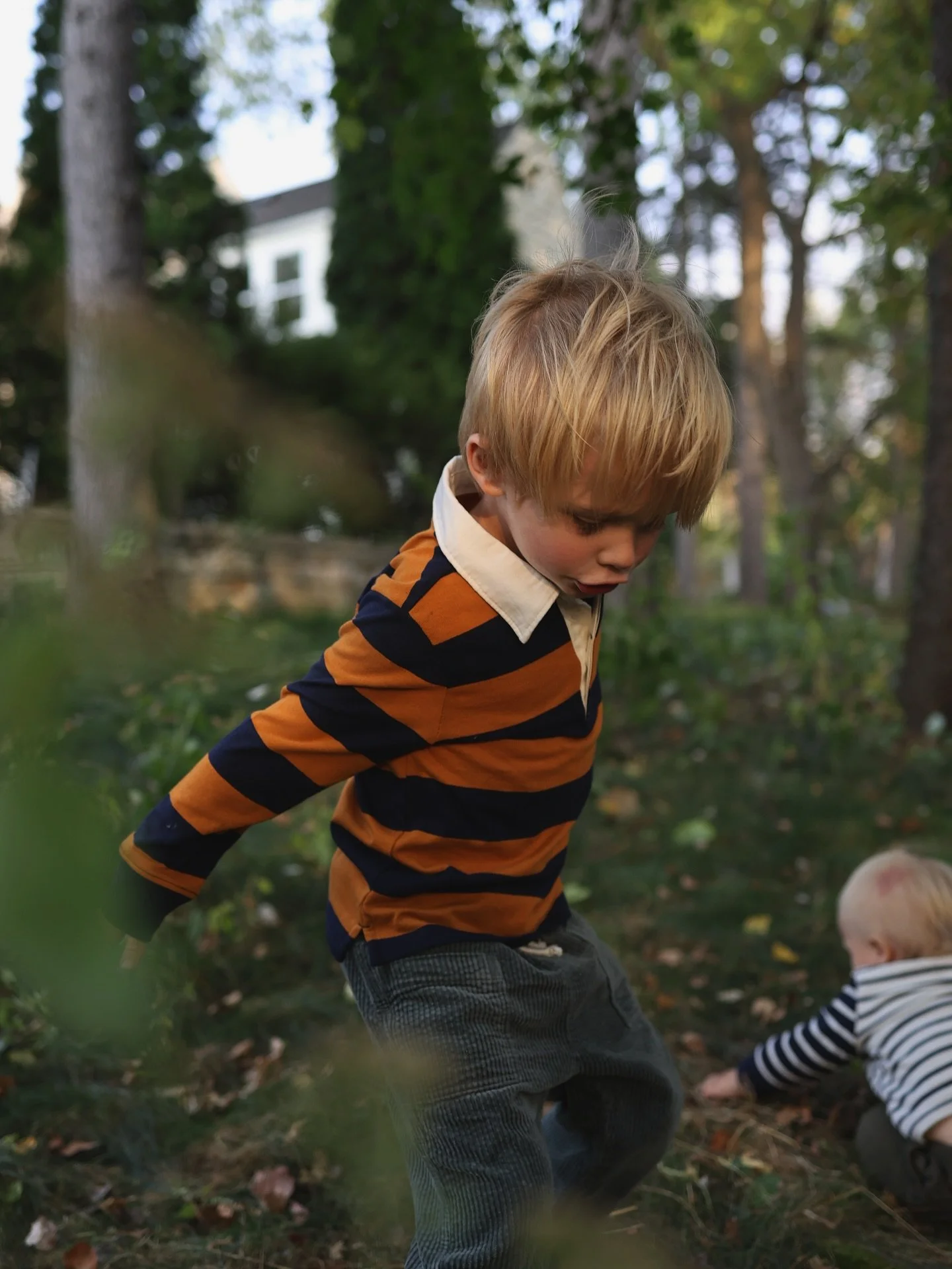 Rex &amp; Wally, circa autumn 2024. Photographed by me, here at Ches Mar.
