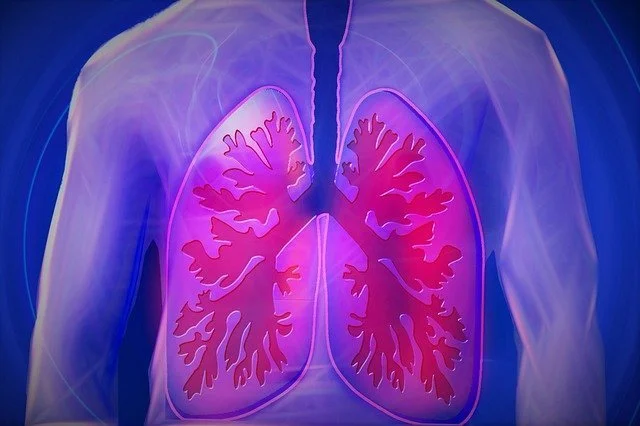 COPD lungs.jpg
