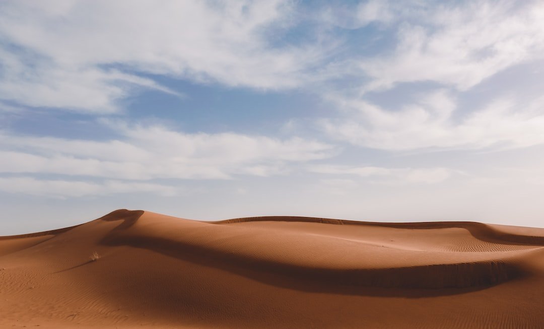 desert.jpeg