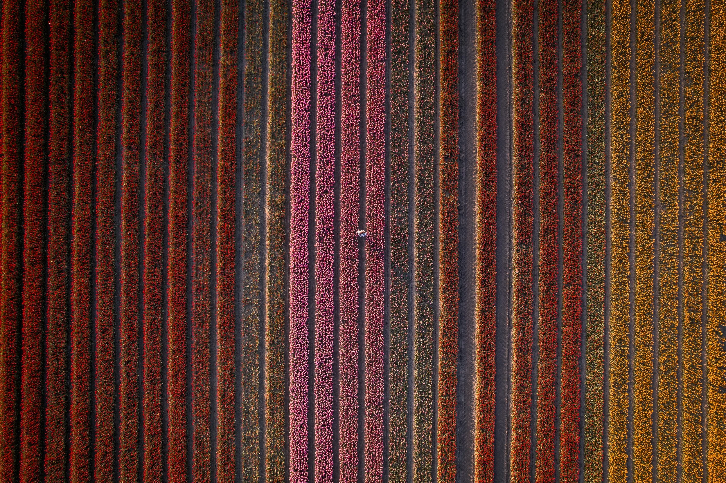 DJI_0340.jpg