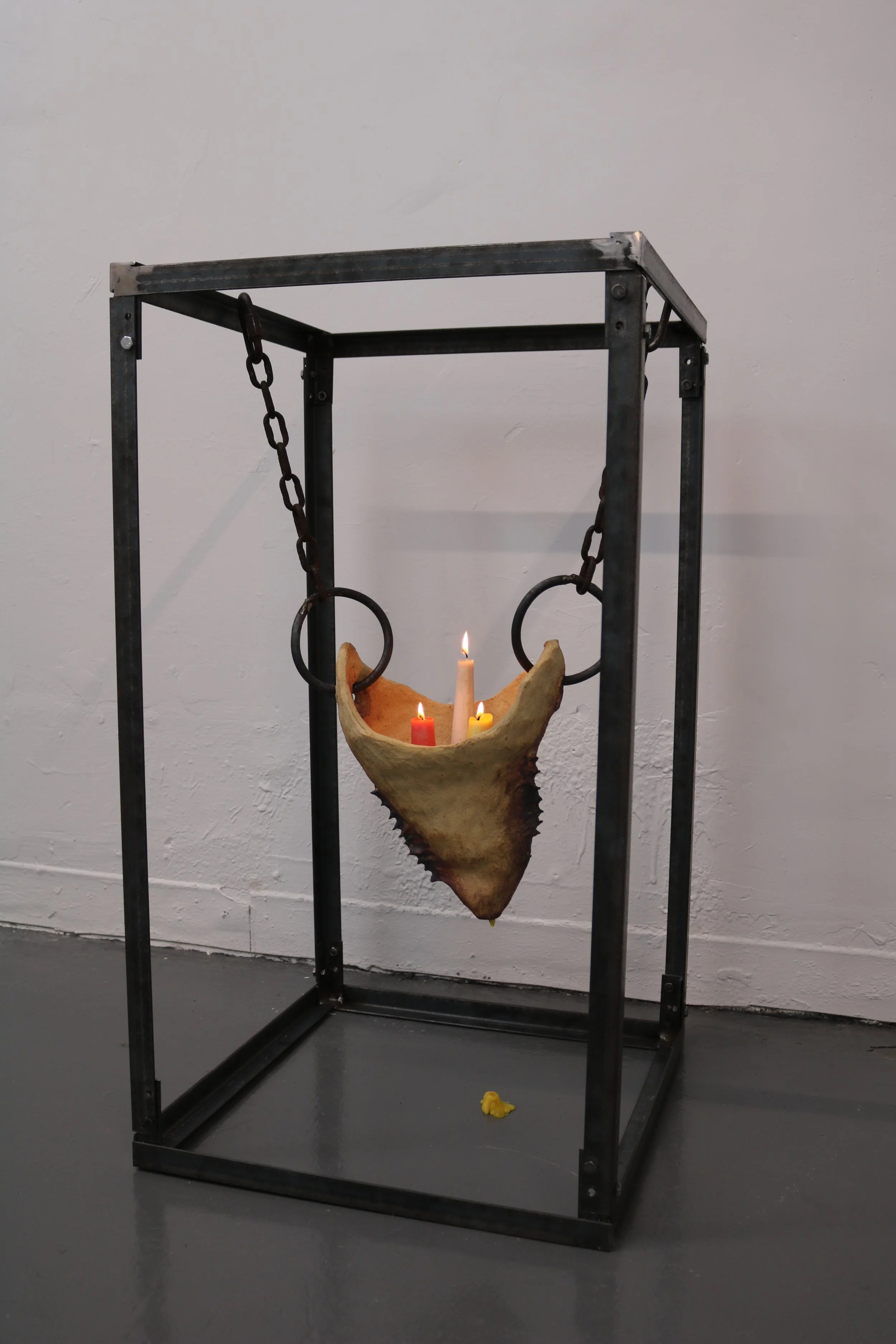 bloodsports 2022.JPG