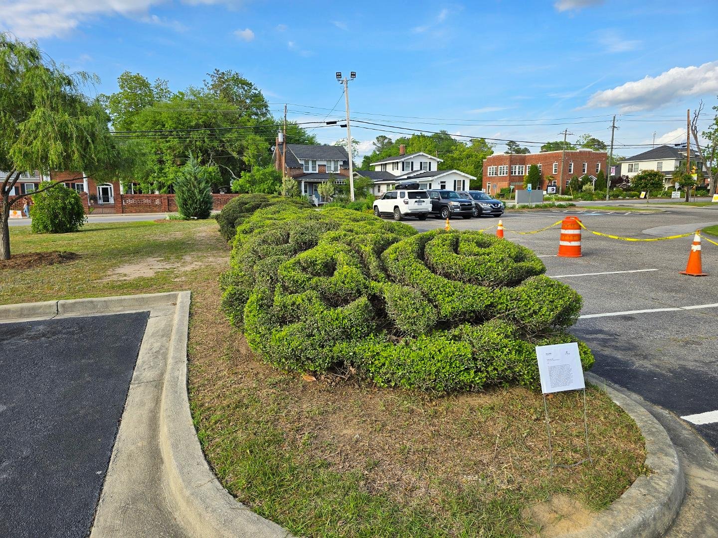 This is one of the most thought provoking meaningful pieces I've ever done. Took a lot to come up with the concept for this topiary. I'll share the other side in a following post. I have some professional and drone shots that will eventually be share