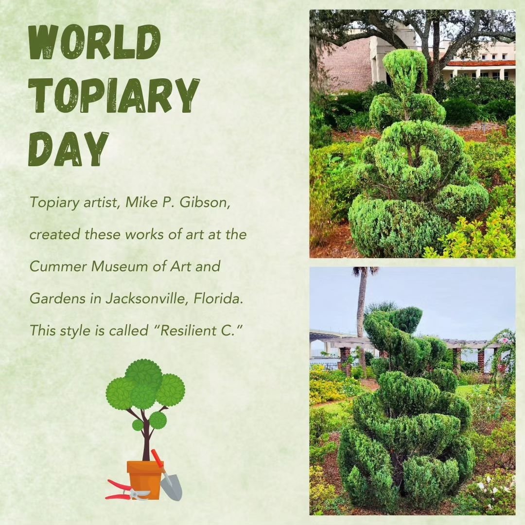 Posted @withregram &bull; @americanpublicgardens Happy World Topiary Day! Topiary artists like Mike P. Gibson @gibby_siz turn ordinary hedges into captivating works of art. This beautiful hedge was created @cummermuseum of Art and Gardens in Jacksonv
