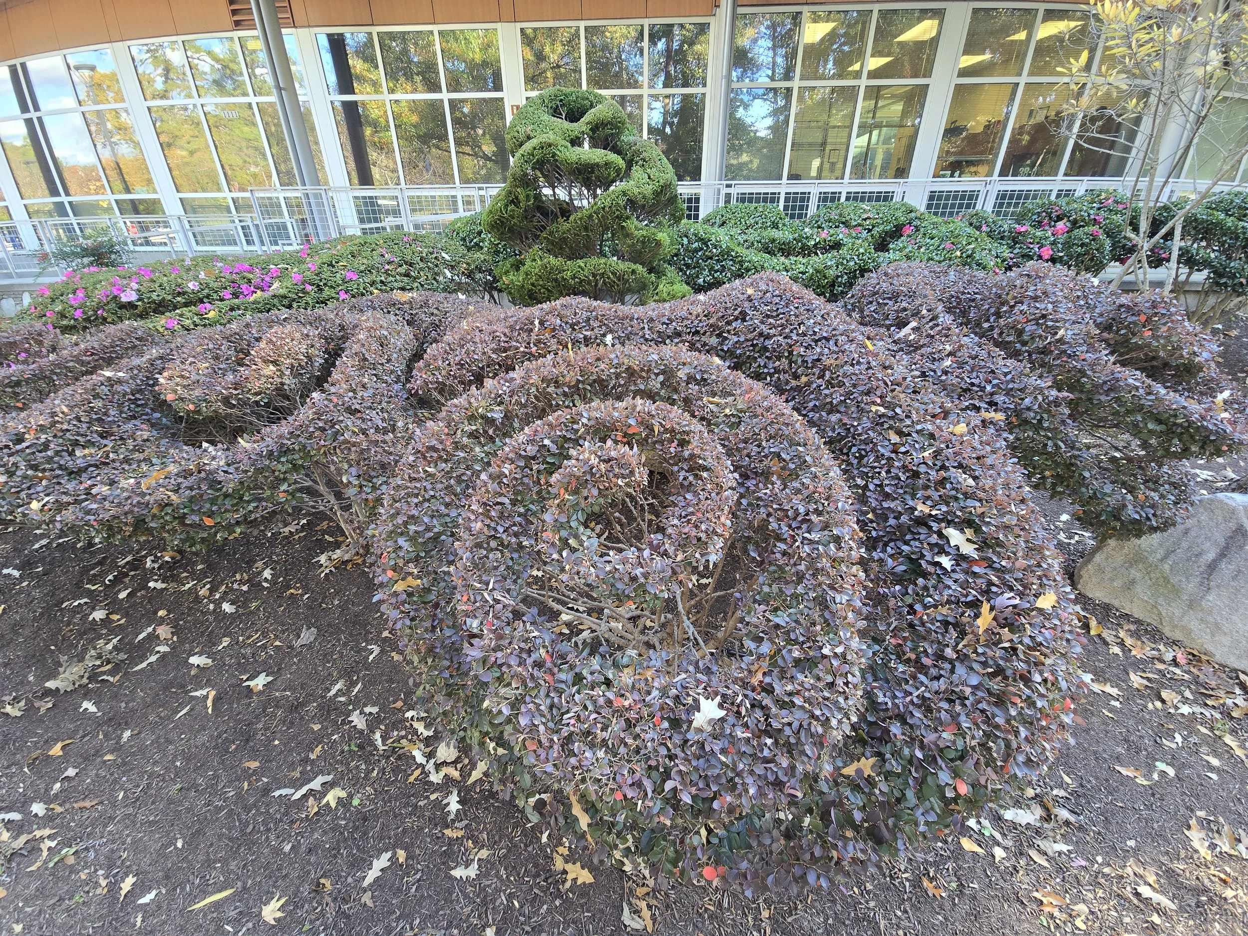 20251110_150320 (2025_12_23 17_05_32 UTC).jpg