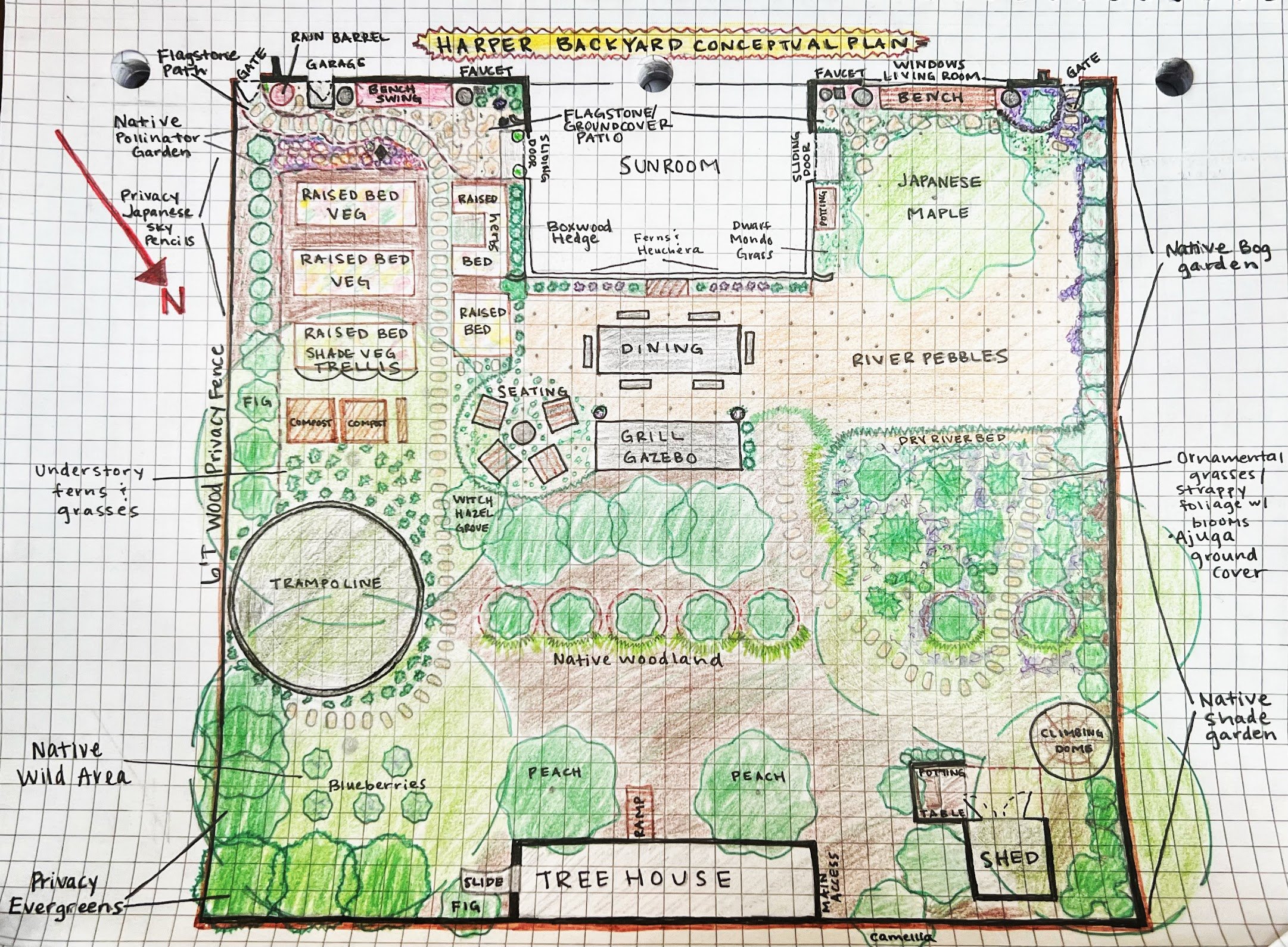 Hand-drawn backyard garden layout