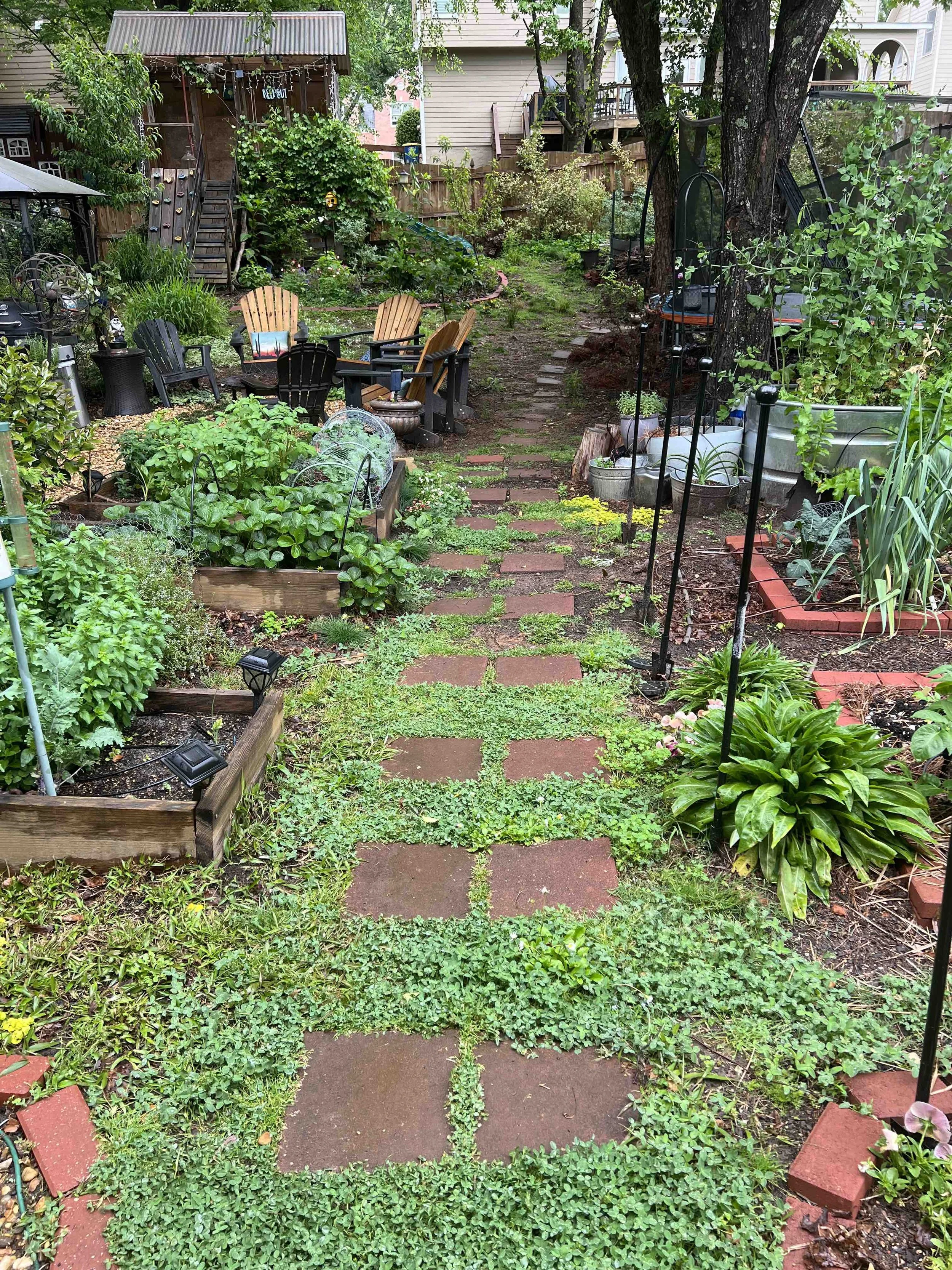 Garden path through native plantings