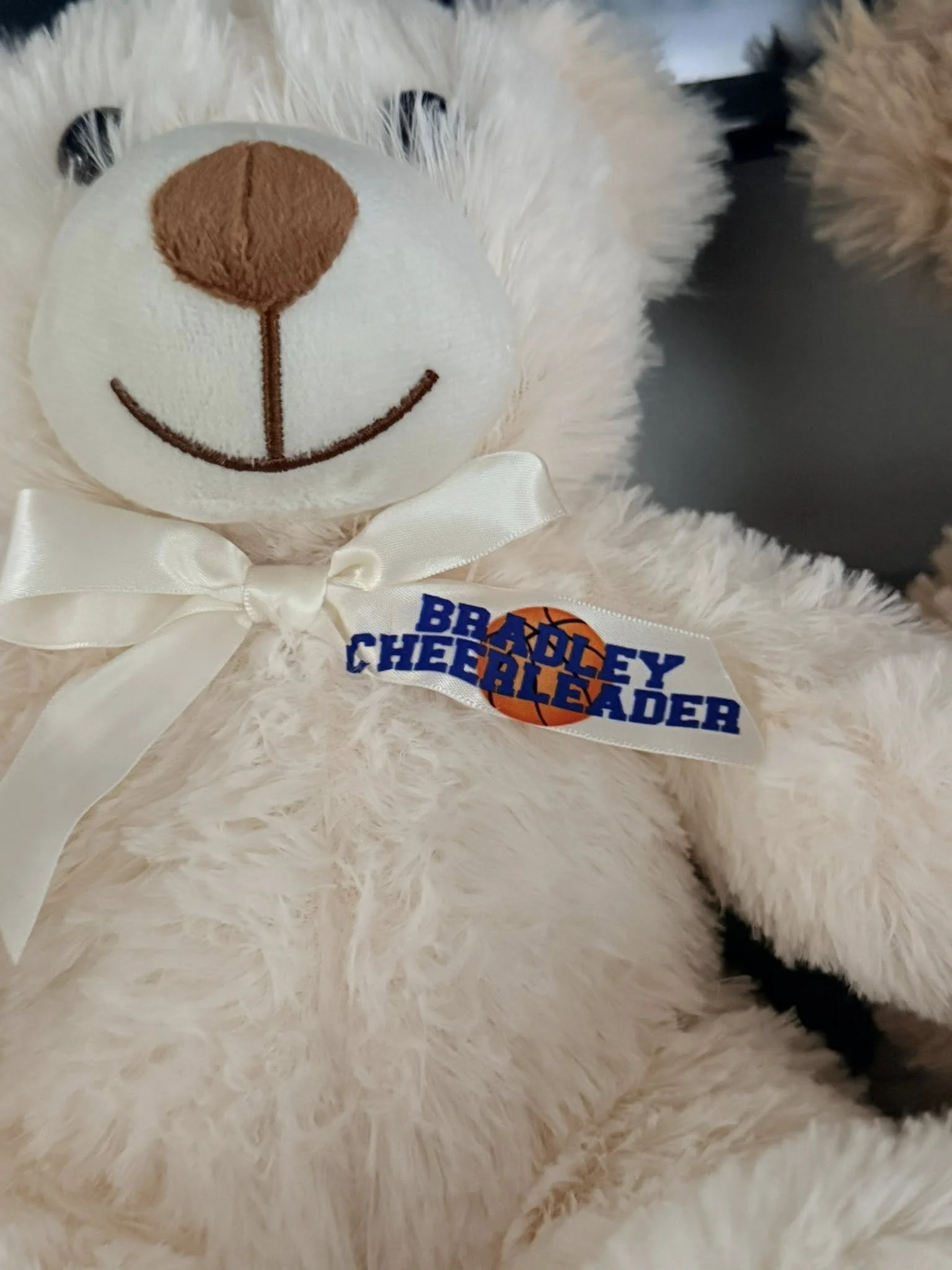 Bradley Bears - 3.jpg