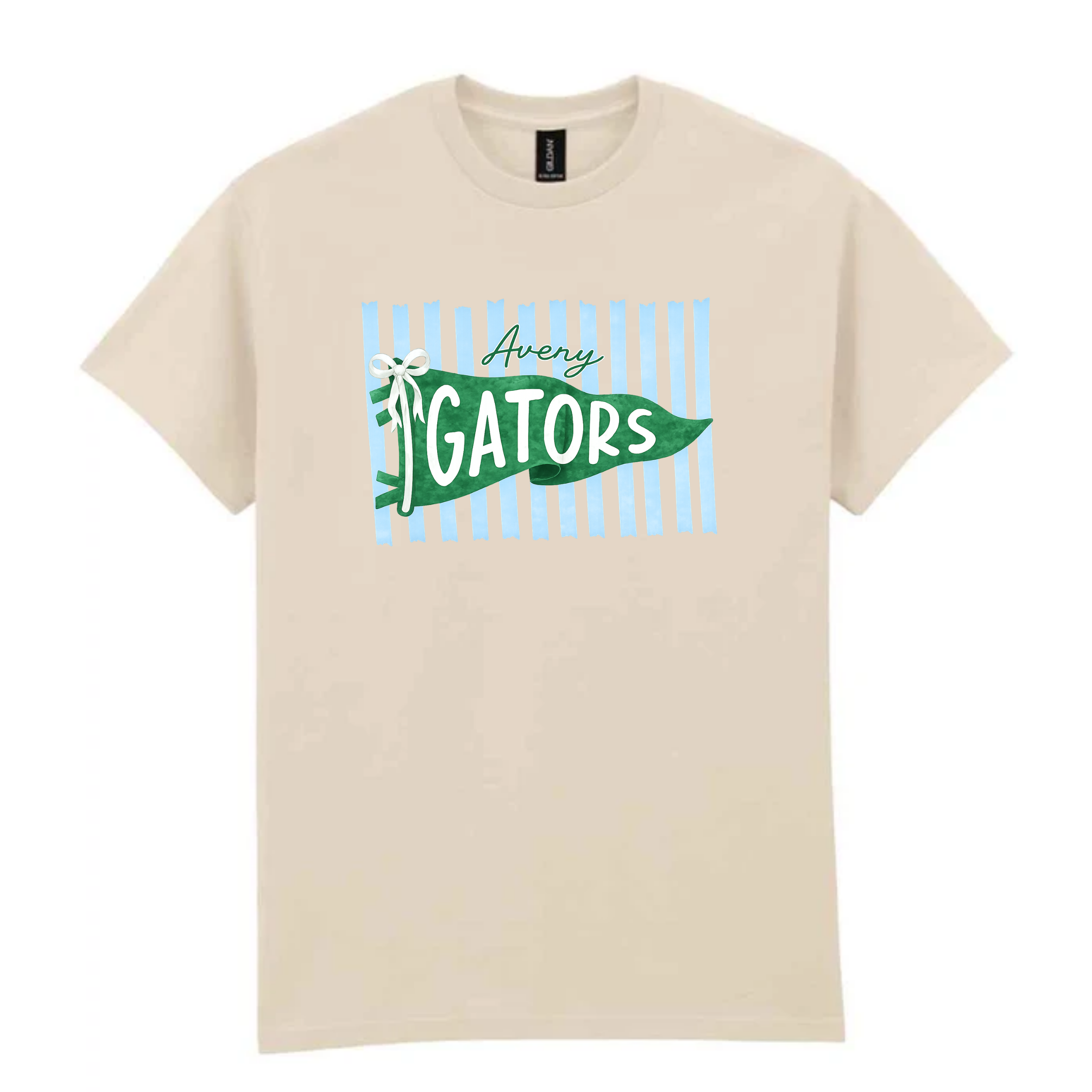 aqvey gators stri[es and flag nautrla.png