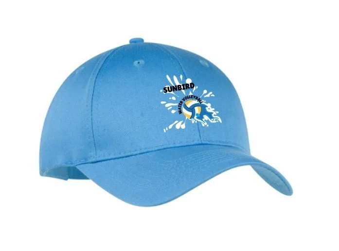 Blue hat mock up.jpg
