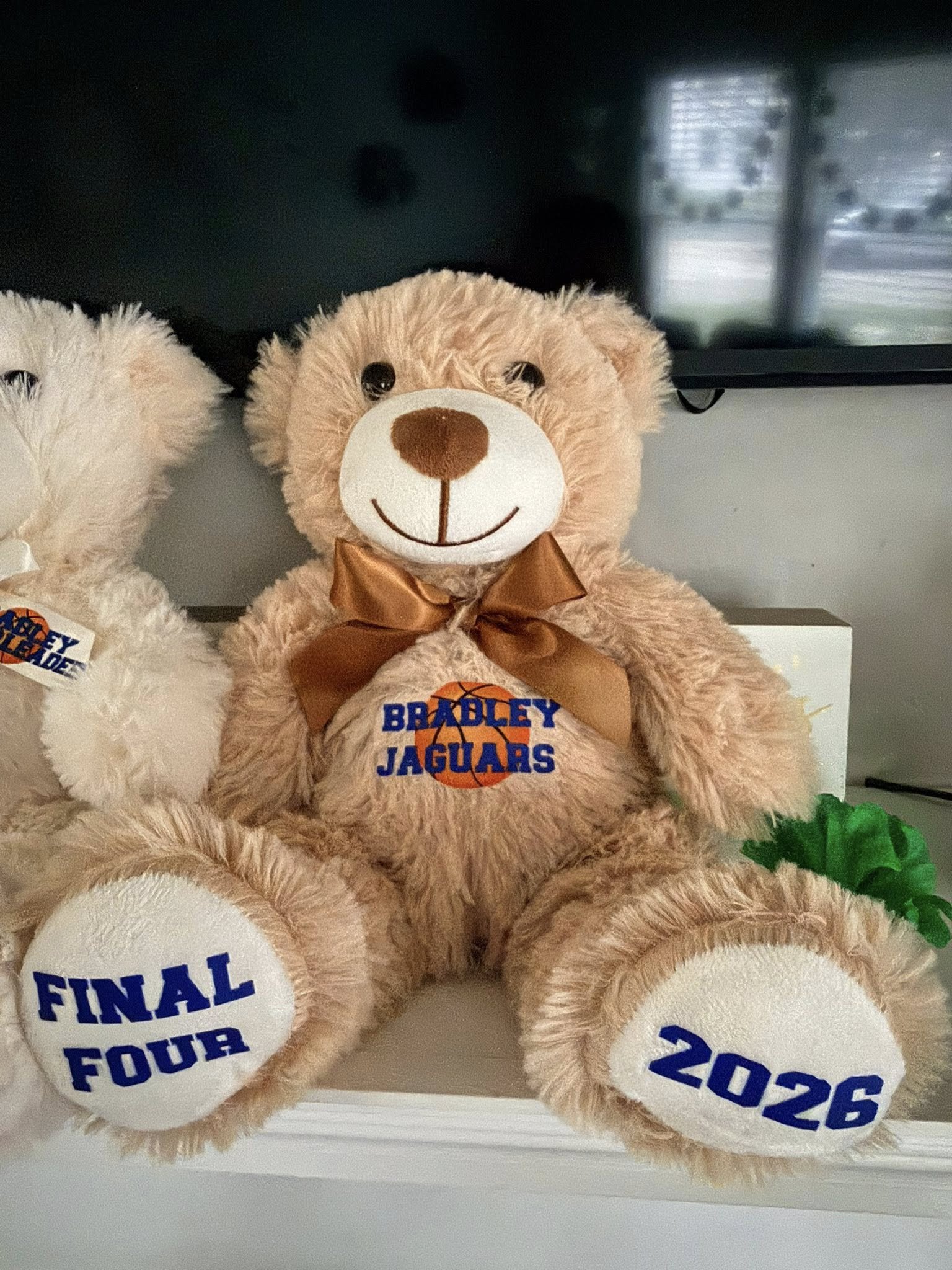 Bradley Bears - 2.jpg