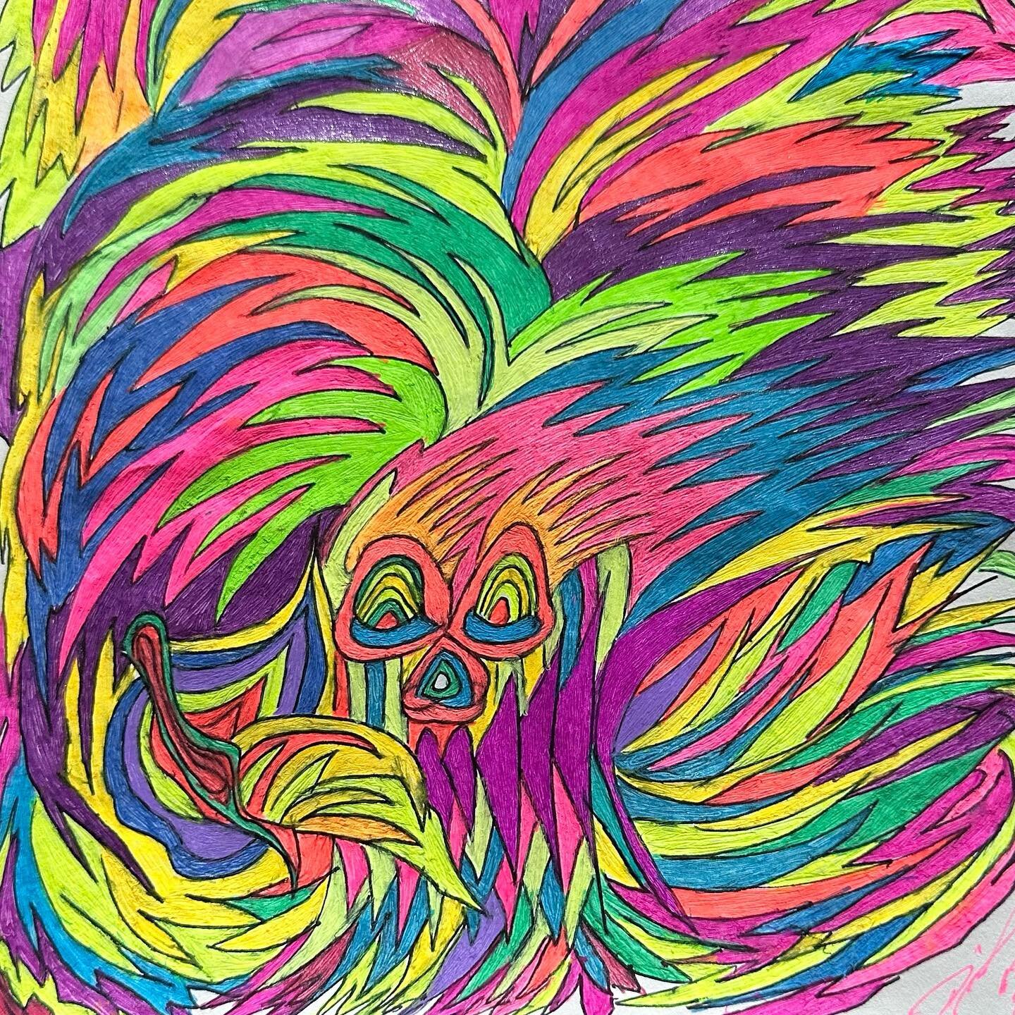 Psychedelic gato - pen and ink drawing