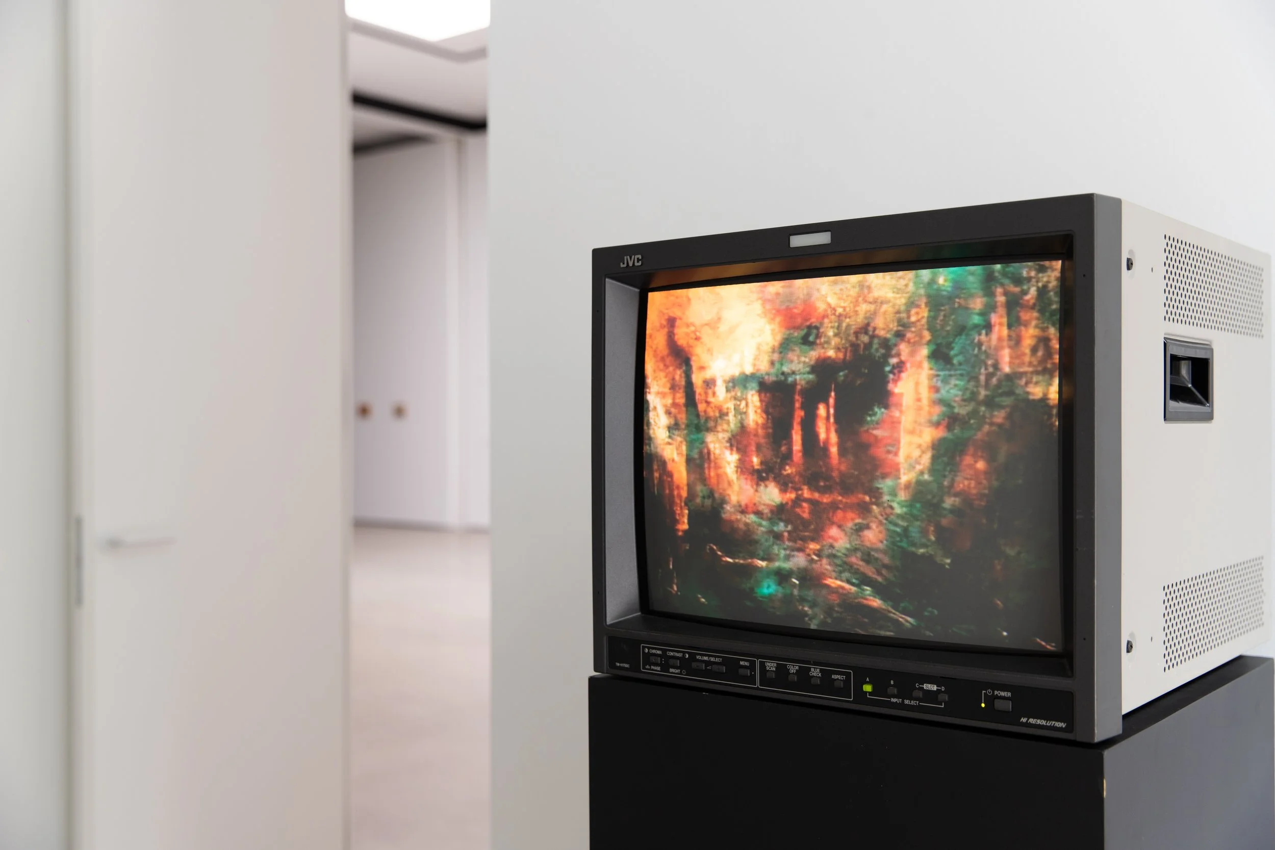 "Where Have The Birds Gone? I" - Instalation - Collaborated with Koen Meyssen