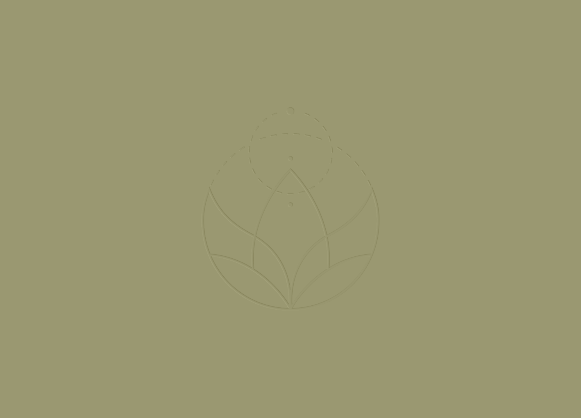 Life Force Chiropractic Logo: A Look Within!