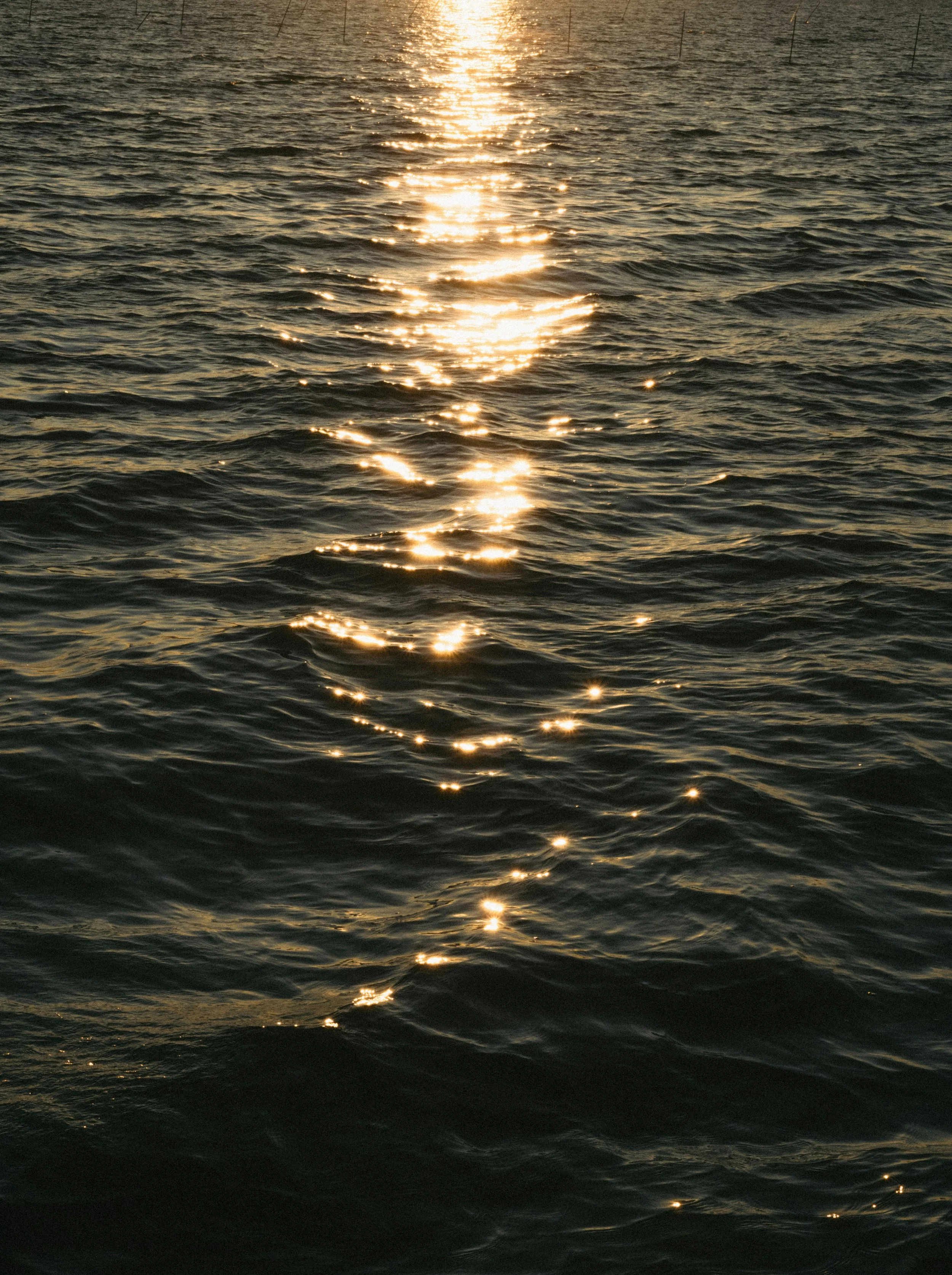 paul-yong-o9KCEZFz23k-unsplash (2).jpg