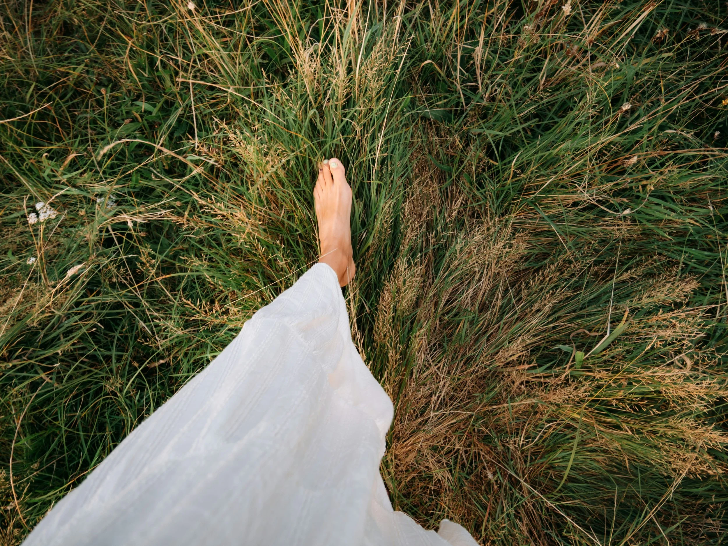 paulina-herpel-8jOjZJbDFkg-unsplash.jpg