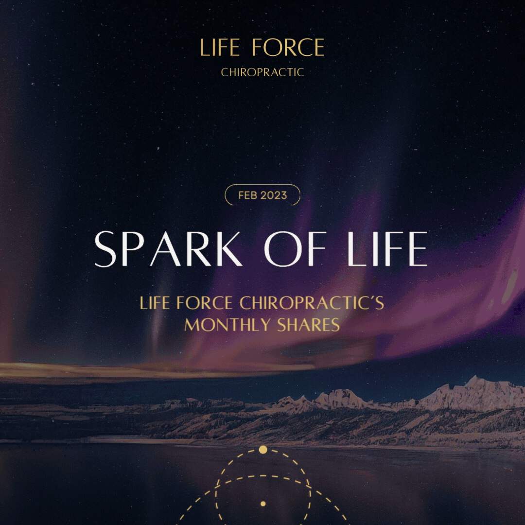 Night sky with aurora borealis over mountain landscape, promotional poster for Life Force Chiropractic, February 2023, highlighting monthly shares.