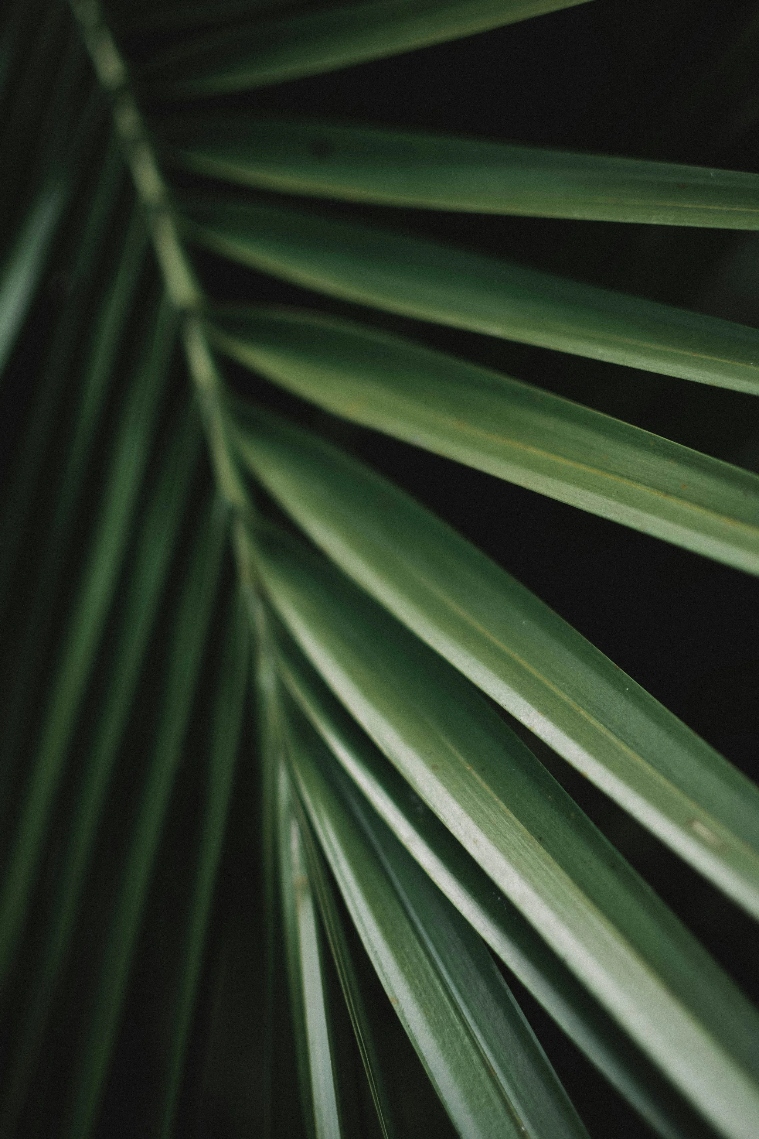 Why Your Back Pain Keeps Coming Back (It's Not Your Posture)