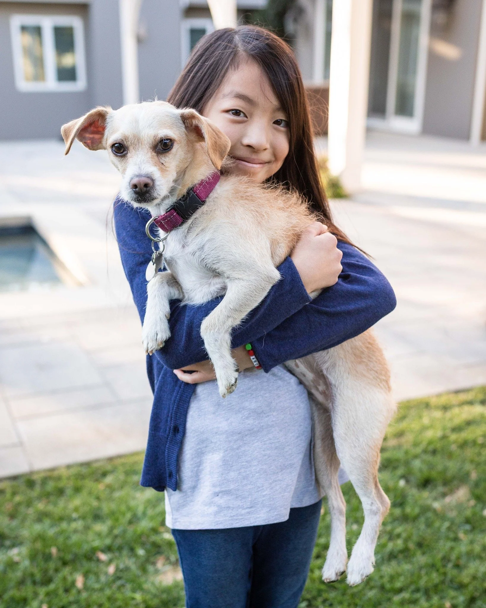 The best part of fall for me is seeing my legacy clients.  In 2020, we did their session at home (for obvious reasons.) They had just adopted this sweet pup and were excited to include her in their photos.  She was LESS excited.  Swipe to see how con