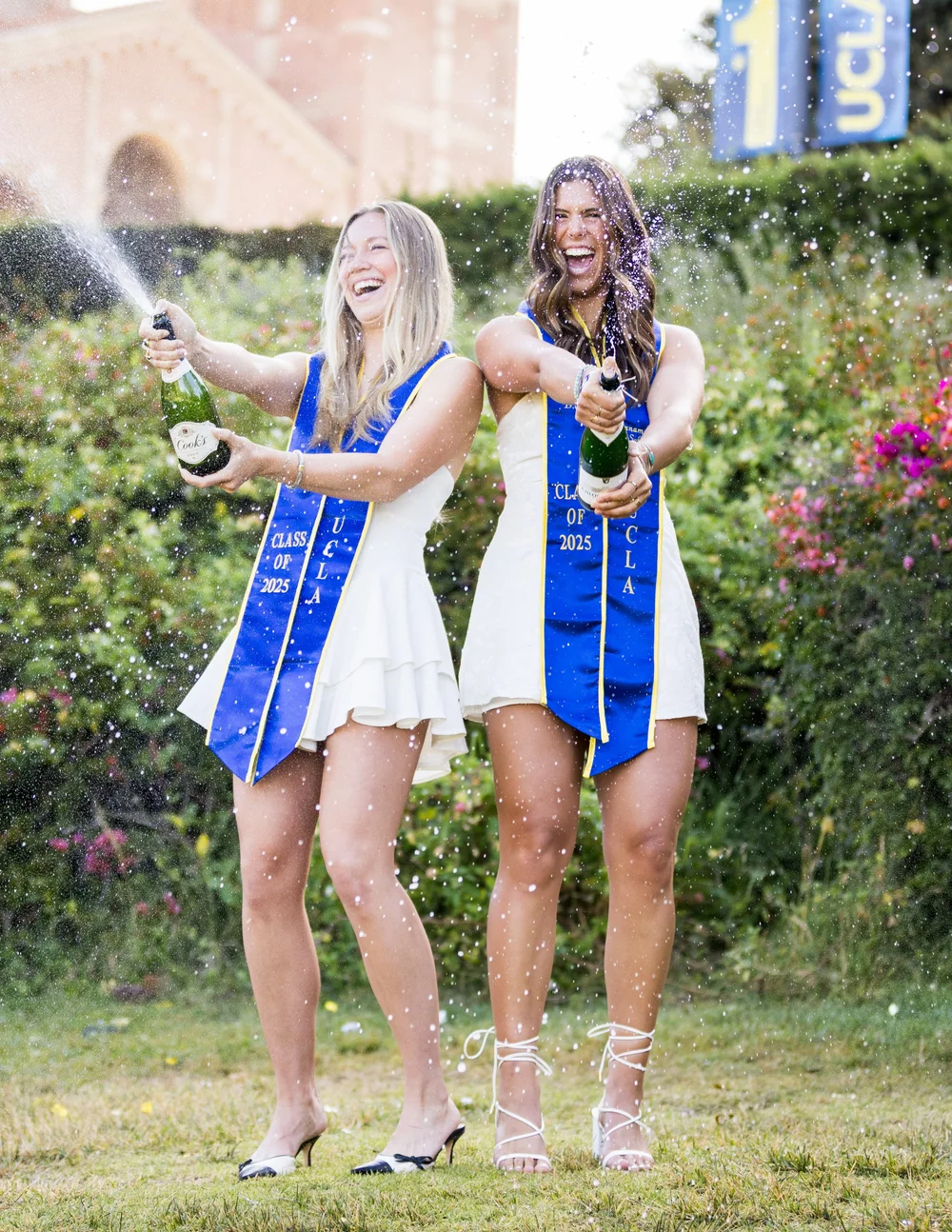 UCLA Grad Photos  Lisa Phelan Photography