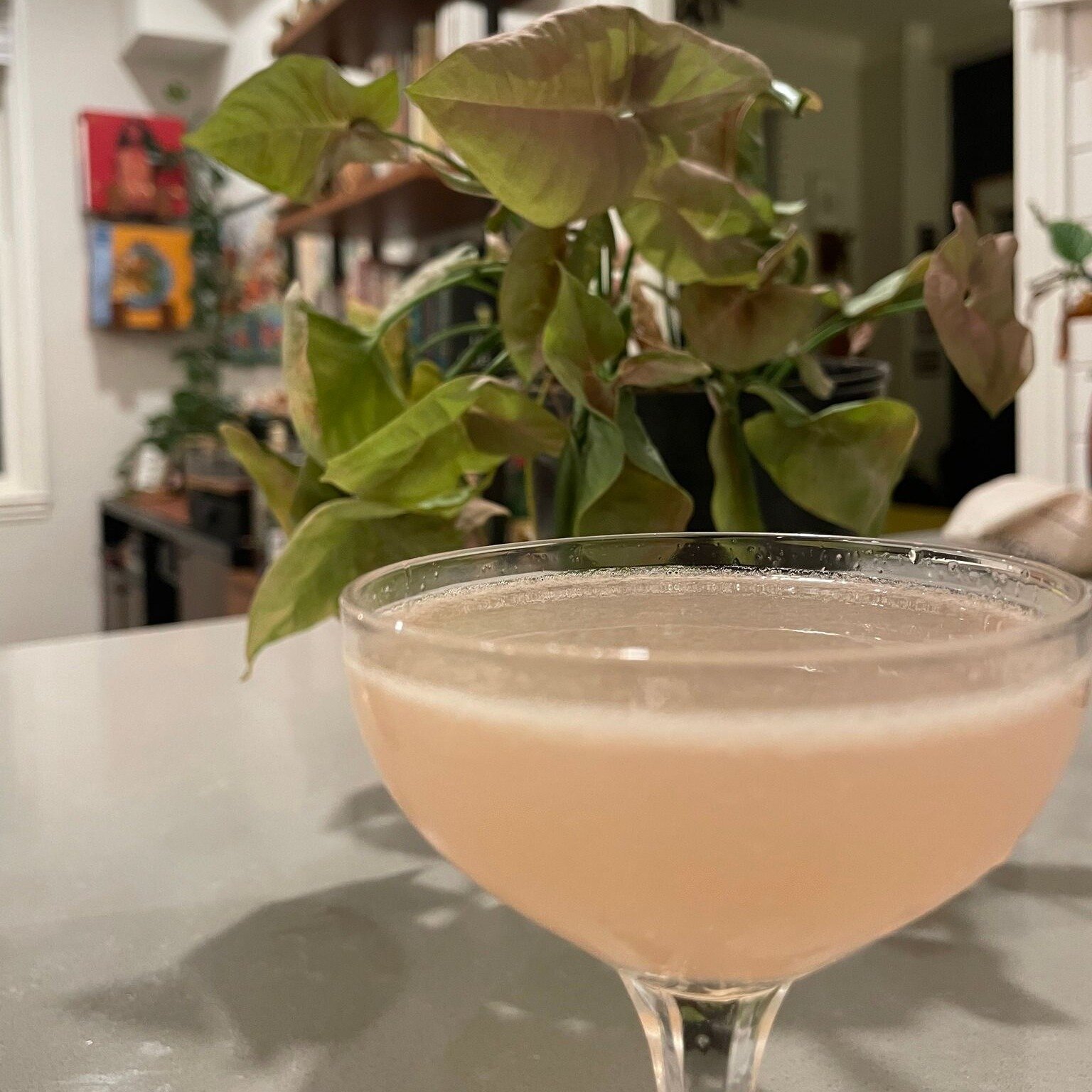 I had a great time teaching Q Prep at @corocoffee in preparation for my upcoming Q Course (sign up at link in bio!) and got to celebrate with a tasty cocktail made with @izi_lizard fresh wisteria syrup when I got home. 

(ICYM my husband @seventymete