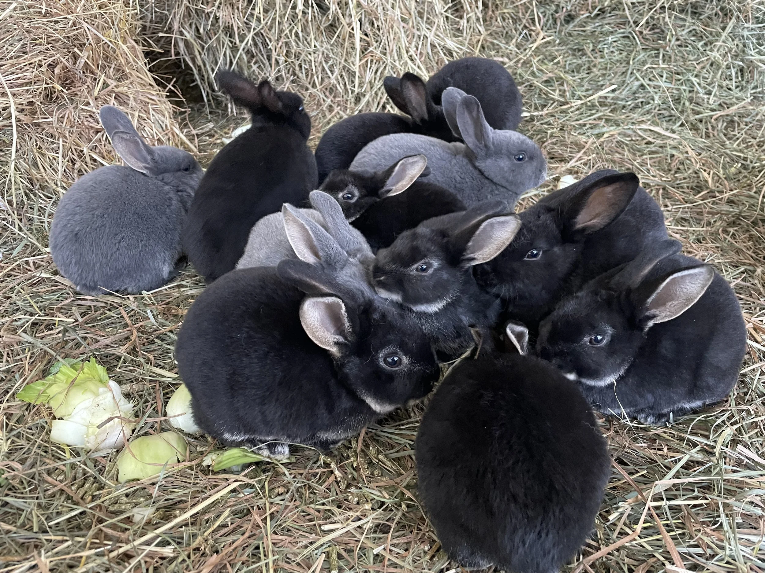 NOFA Vermont Winter Conference